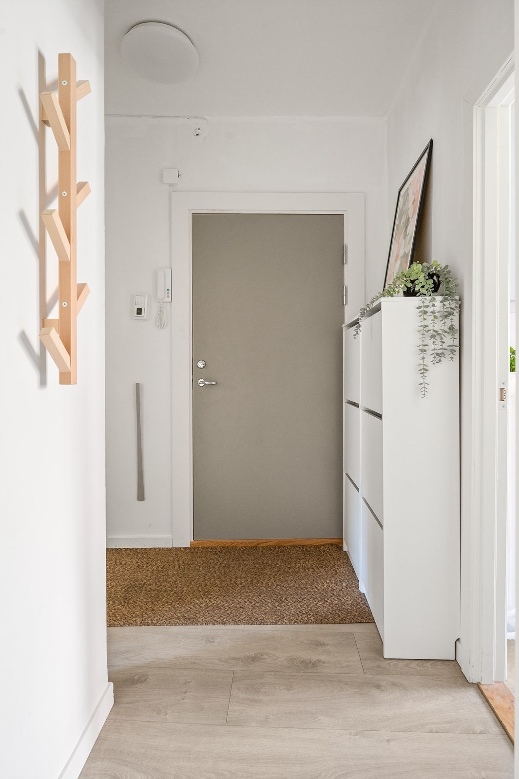 I gangen er det slitesterkt laminat på gulv og dørtelefon med åpnefunksjon er installert. Galleribilde