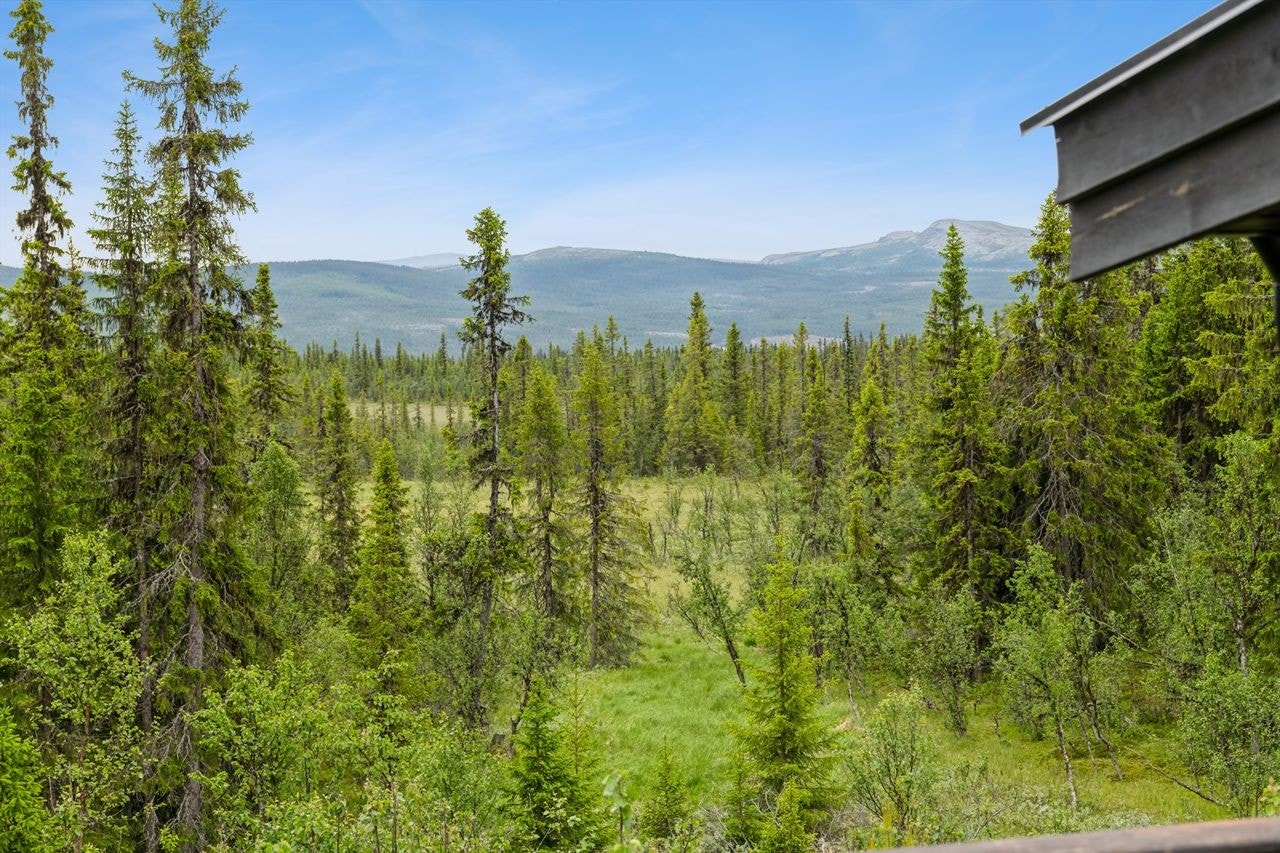 Utsikt fra terrassen Galleribilde