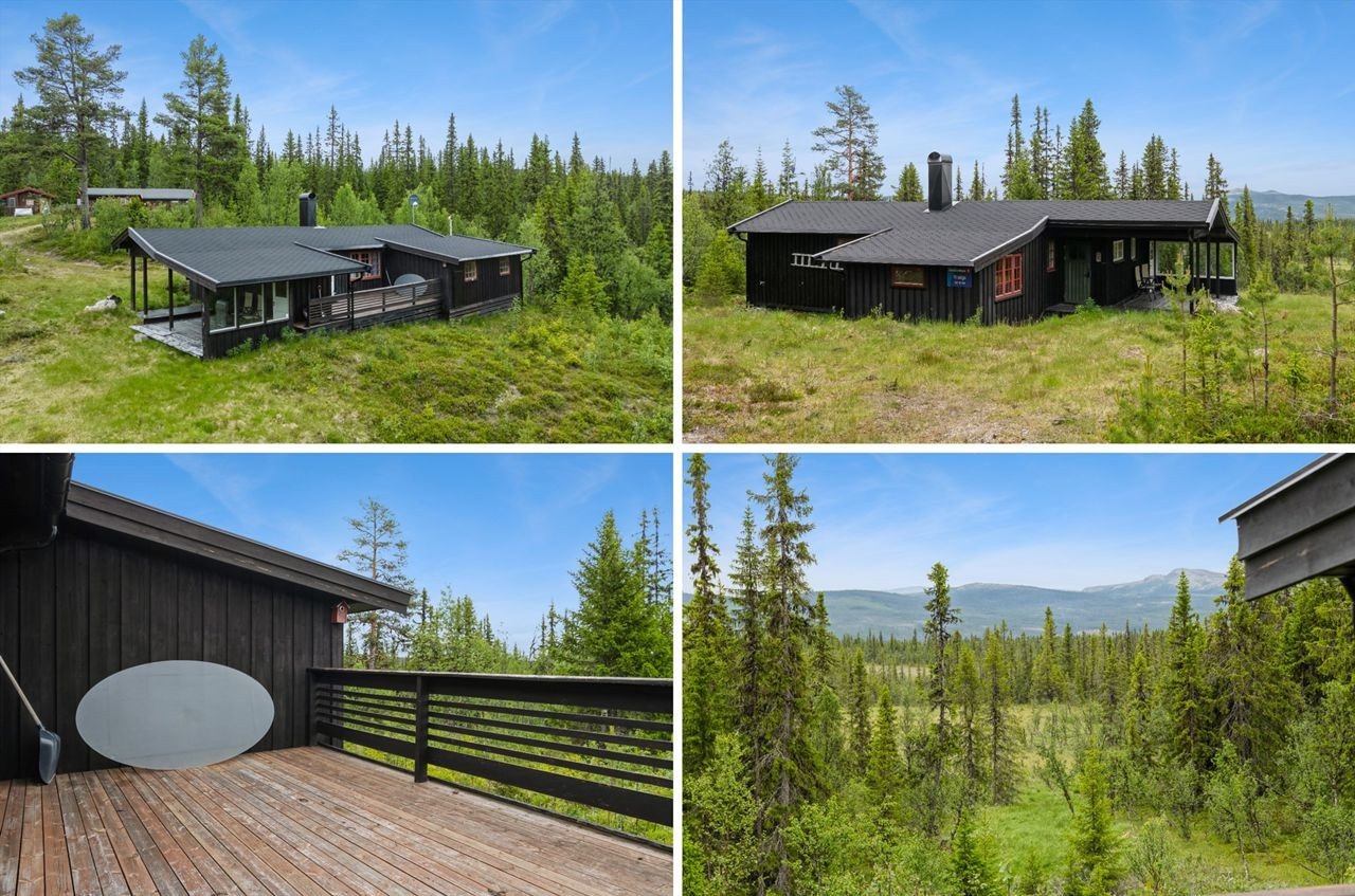 Velkommen til Gråsjøveien 815 Galleribilde