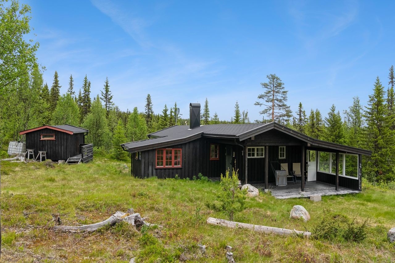Naturtomt rundt på eiendommen. Galleribilde