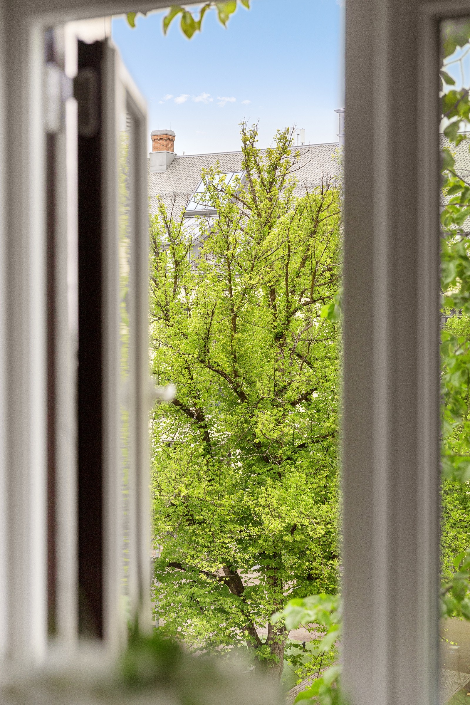 Utsyn fra leiligheten Galleribilde