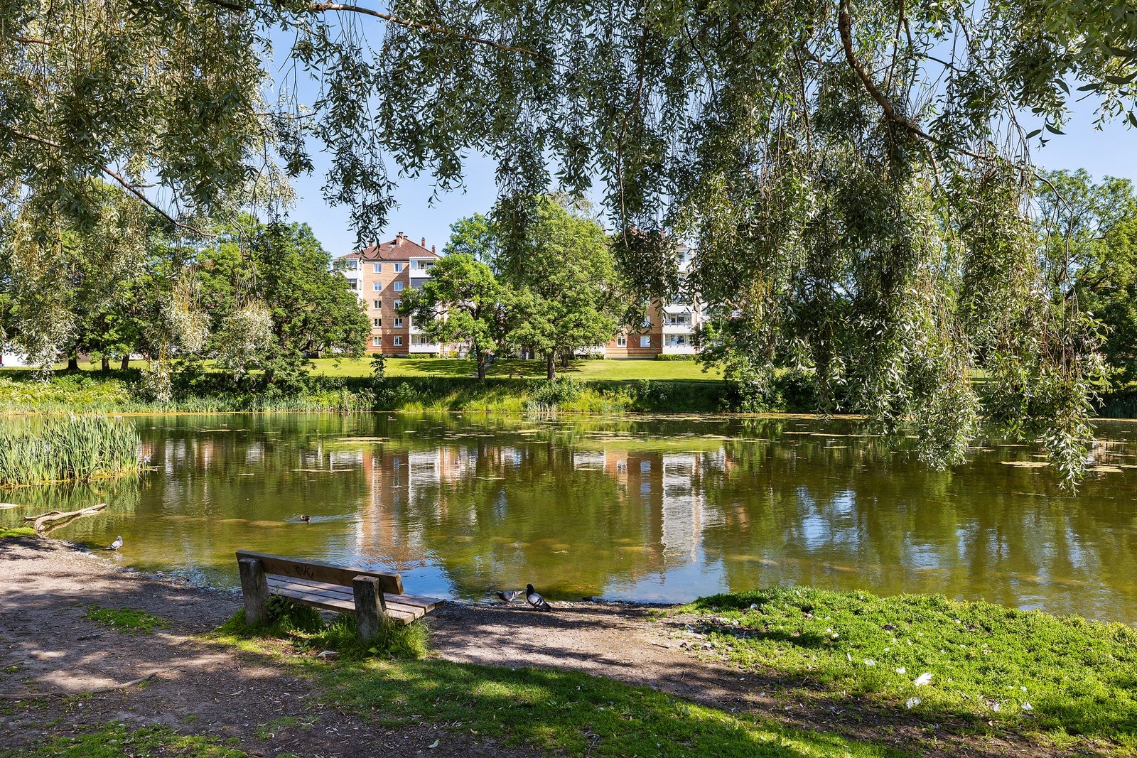 Nydelige tur og rekreasjonsmuligheter i området Galleribilde