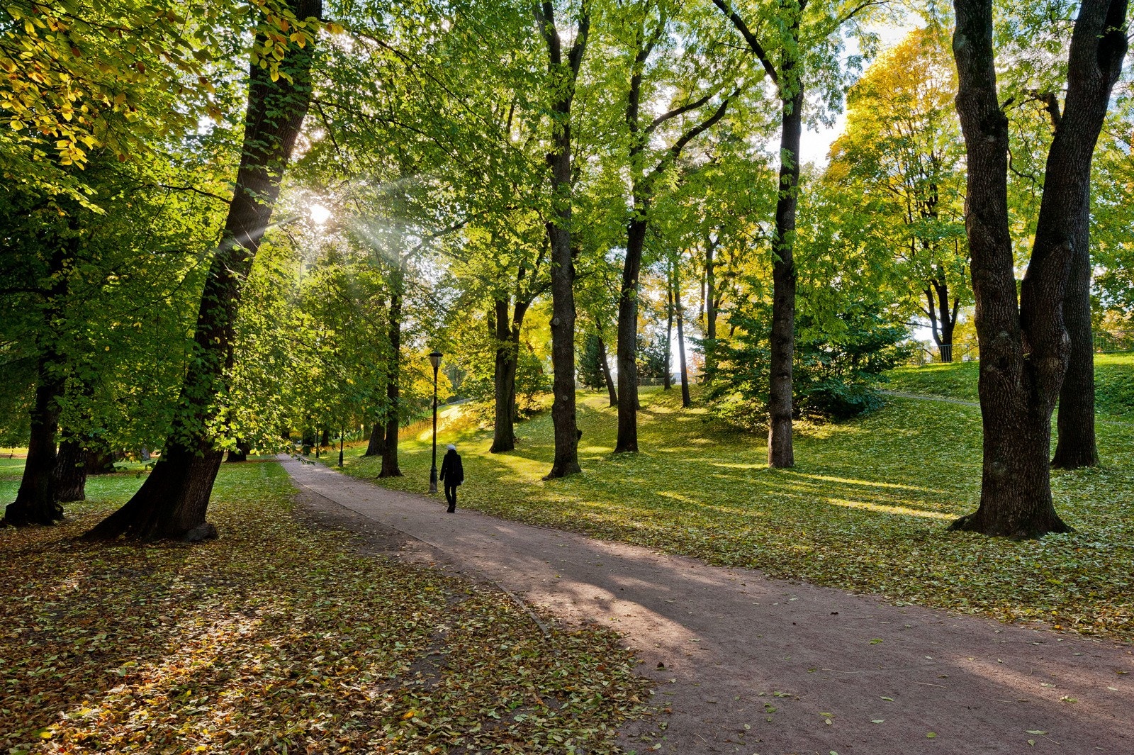 Det finnes knapt et sted i Oslo som er så sentralt, men likevel så anonymt og stille som Bergsliens gate. Galleribilde