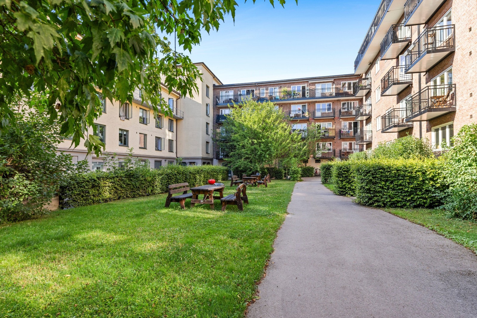 Grønn bakgård med hyggelig atmosfære. Galleribilde