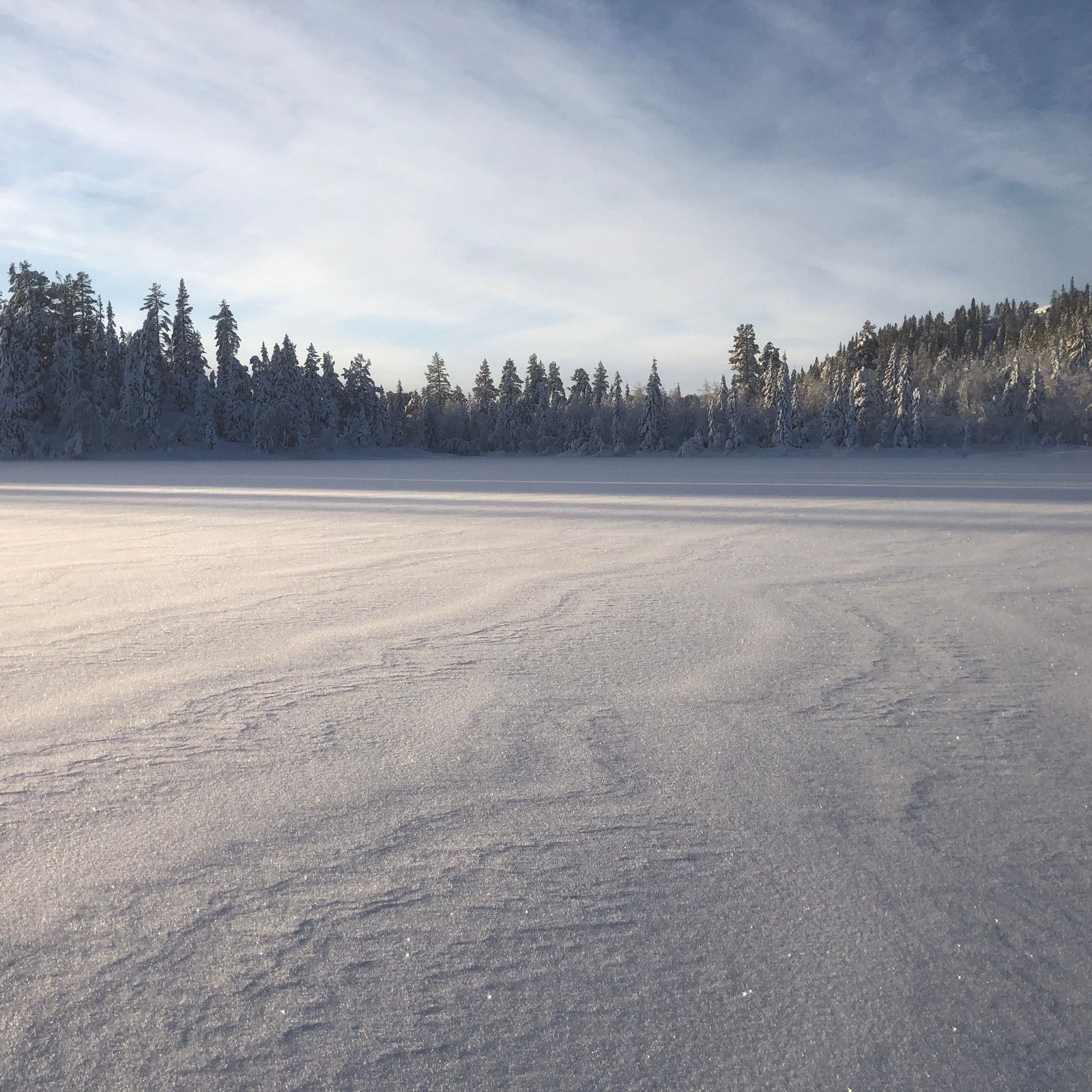 Svansvatn i vinterdrakt Galleribilde