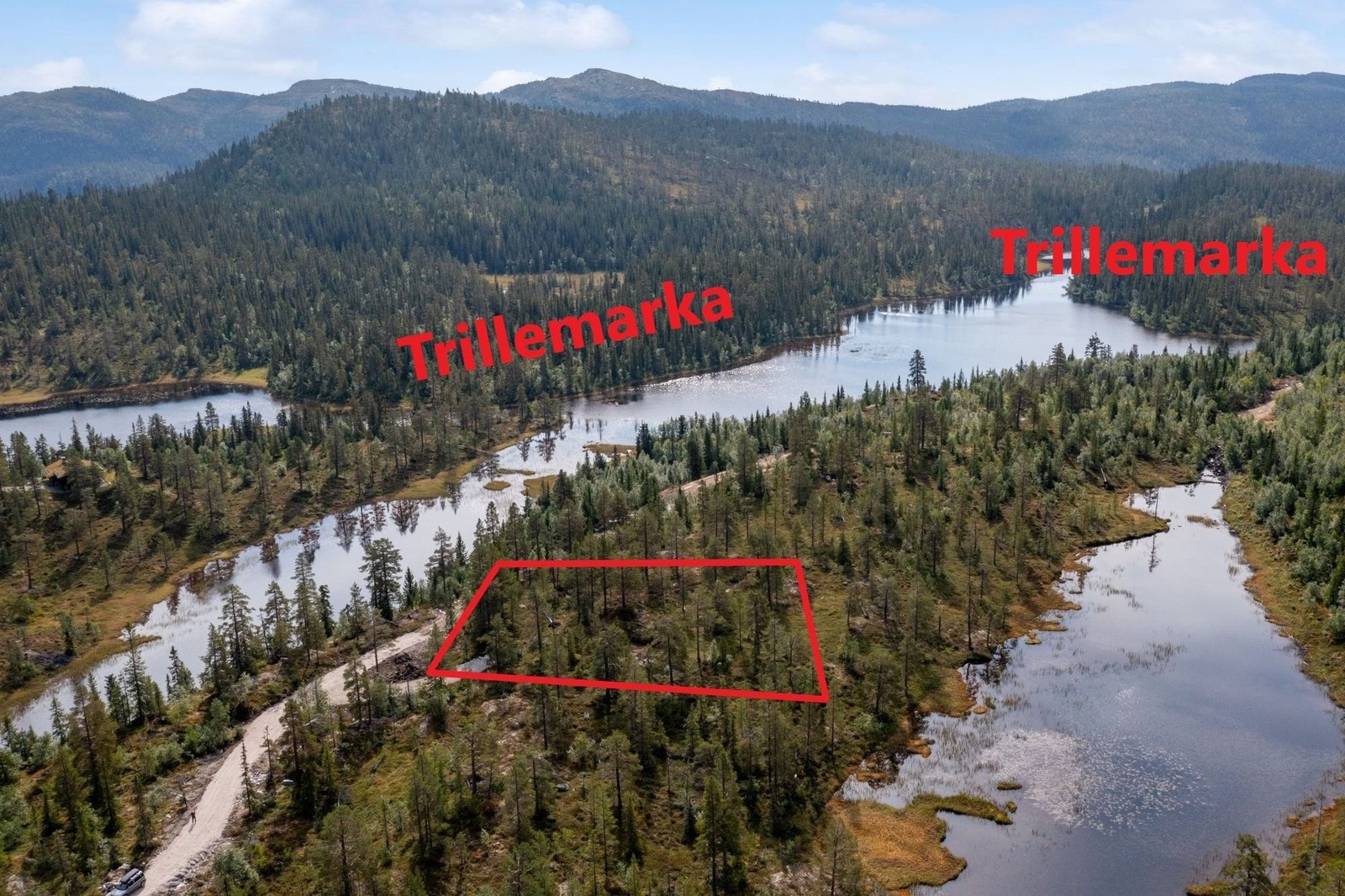 Tomta på kolle mellom to vann Galleribilde