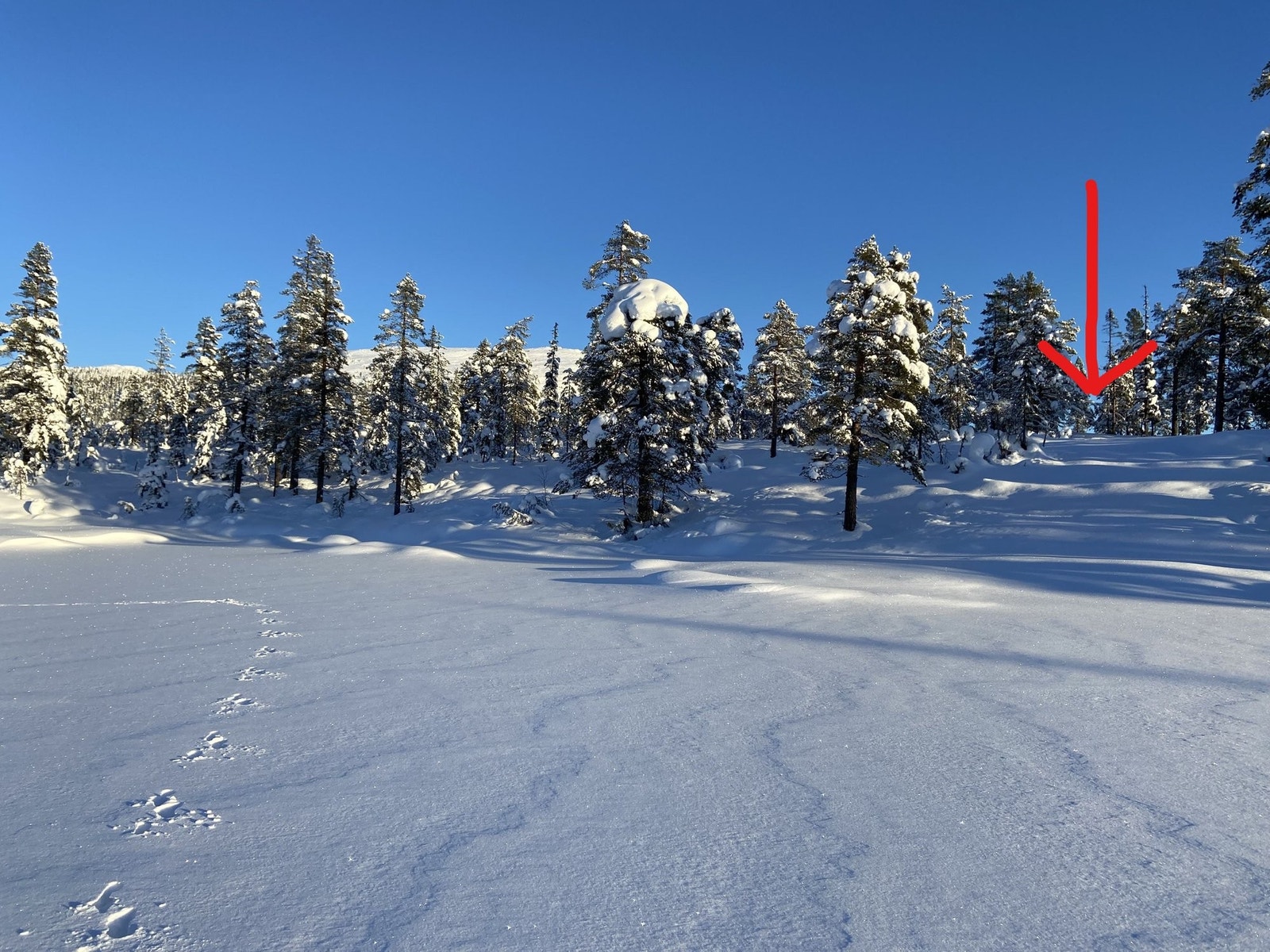 En flott tomt Galleribilde