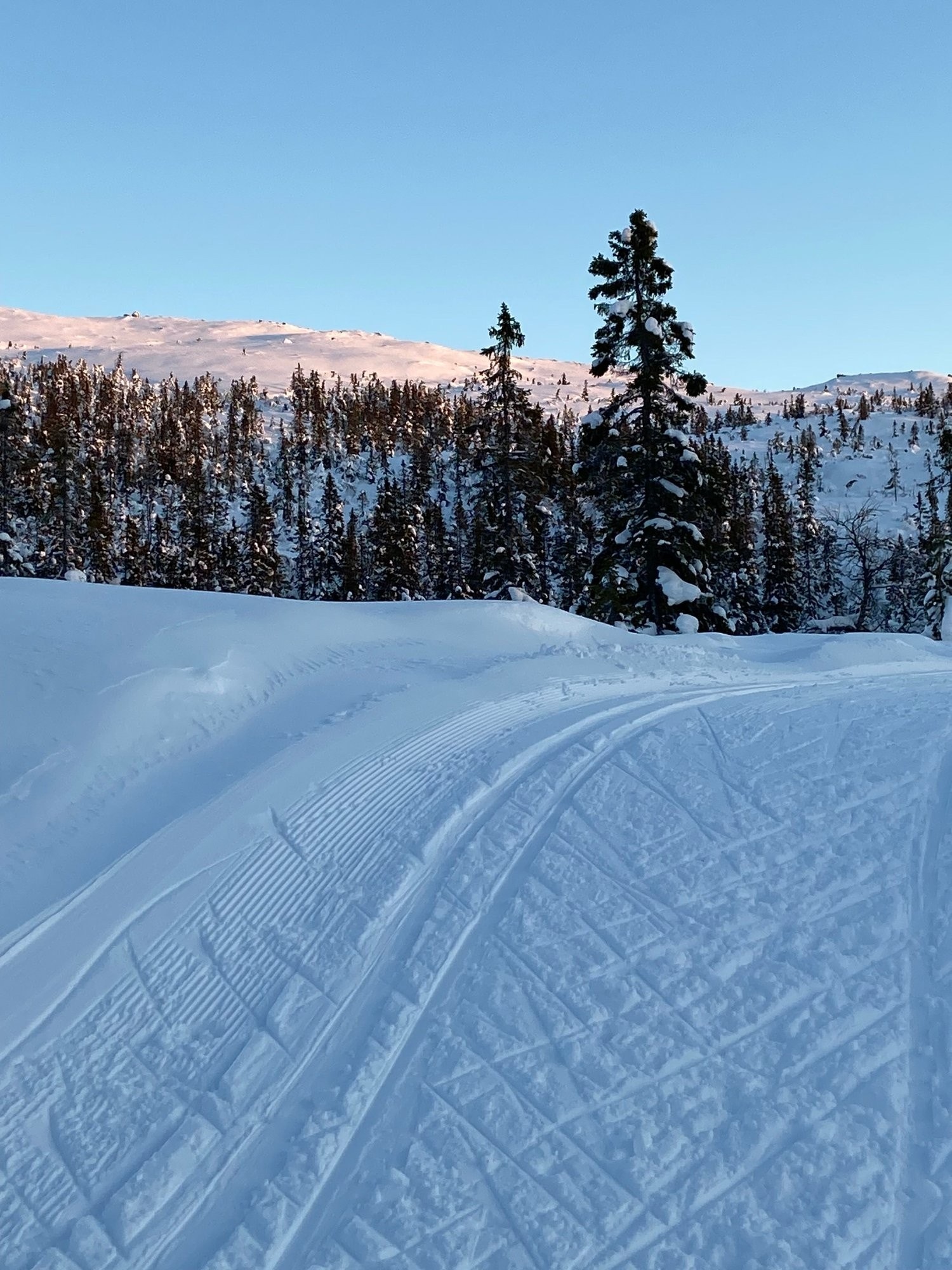 Kveldstur på ski Galleribilde