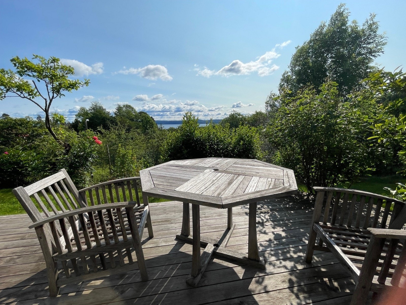 Nyt kaffekoppen i morgensolen. Galleribilde