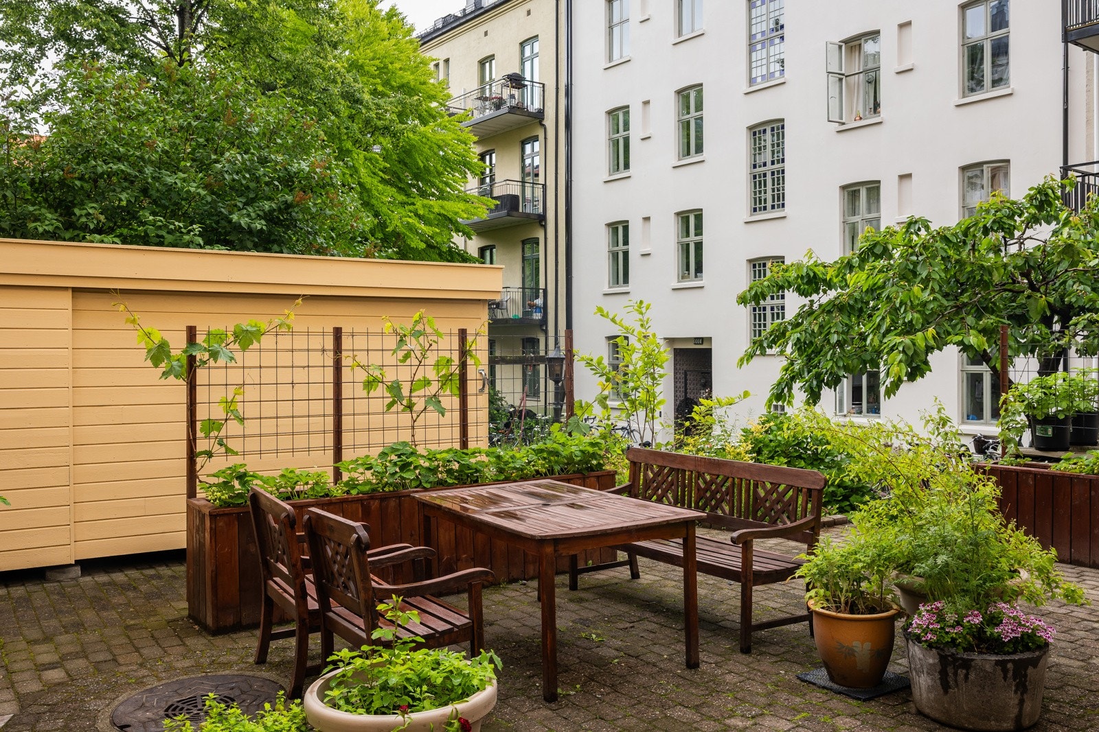 Adkomst fra bakgård med sittegrupper og sykkelskur Galleribilde