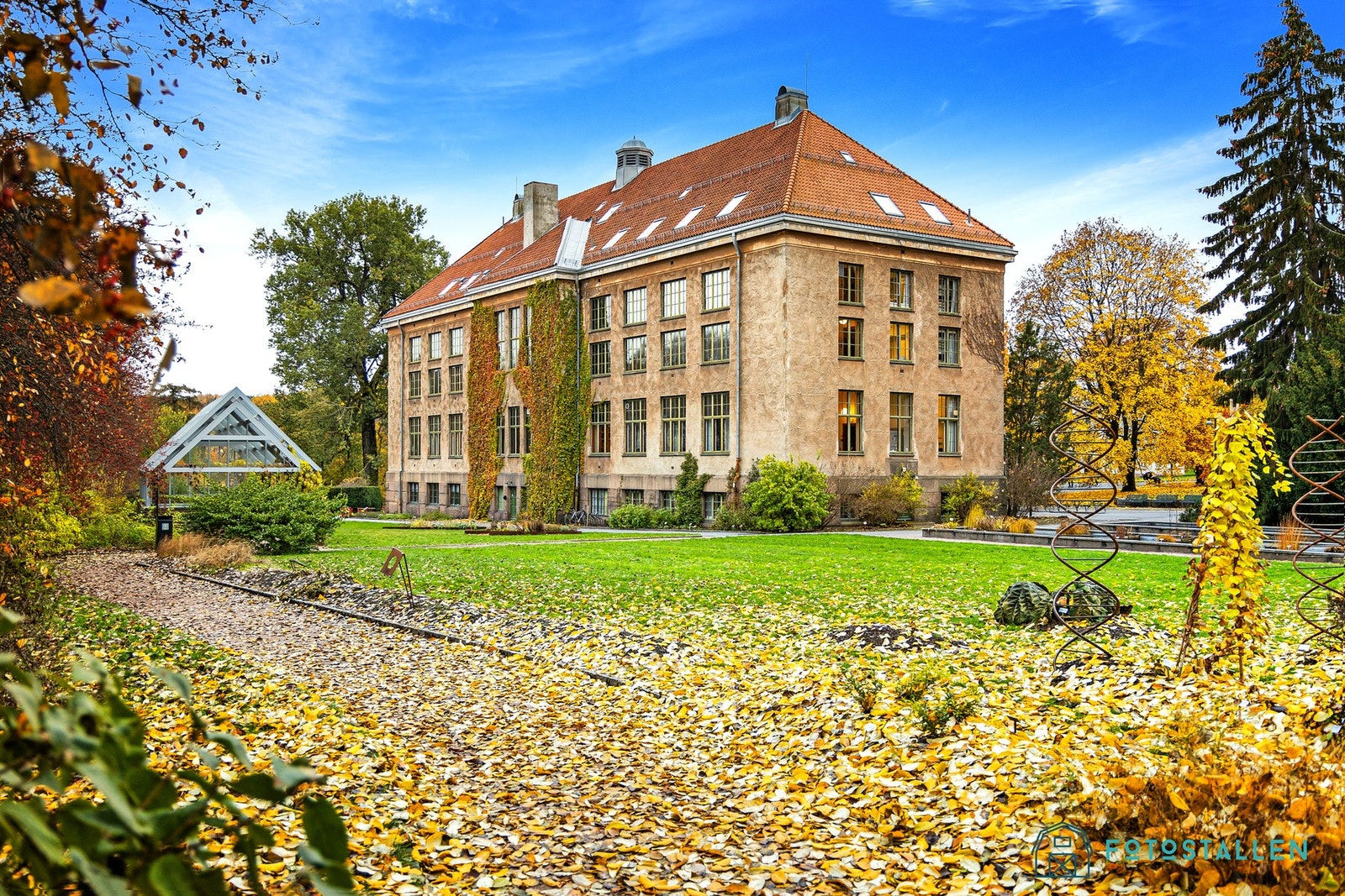 Botanisk hage Galleribilde