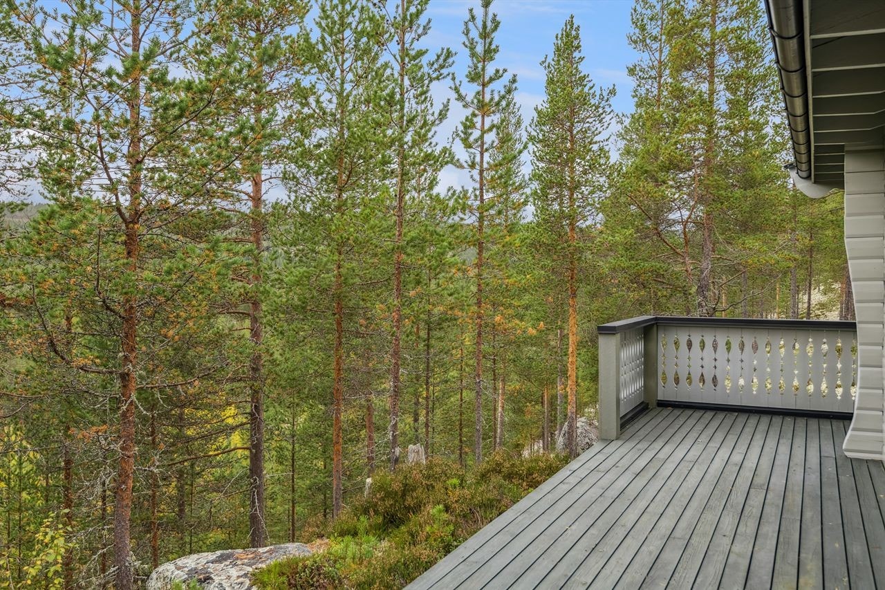 Terrasse mot sørvest - skråning med vegetasjon ned til veien Galleribilde