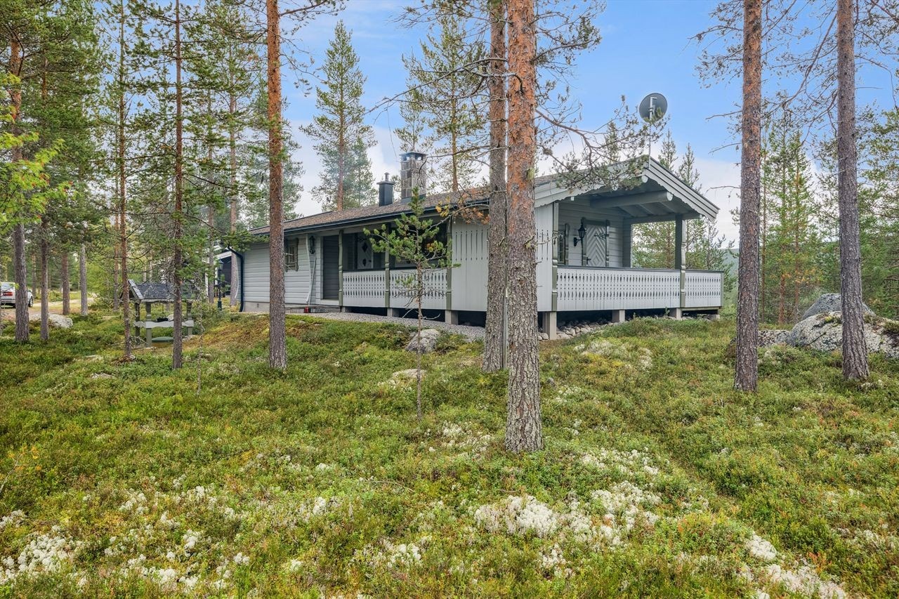 Det er Statskog som er grunneier av festetomtene Galleribilde