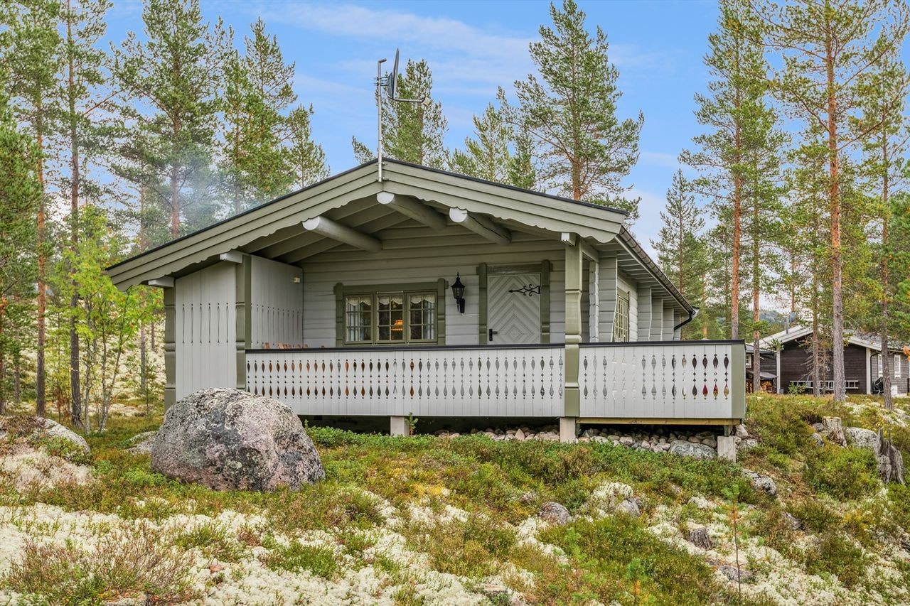 Meget velholdt fritidsbolig i flott natur! Galleribilde