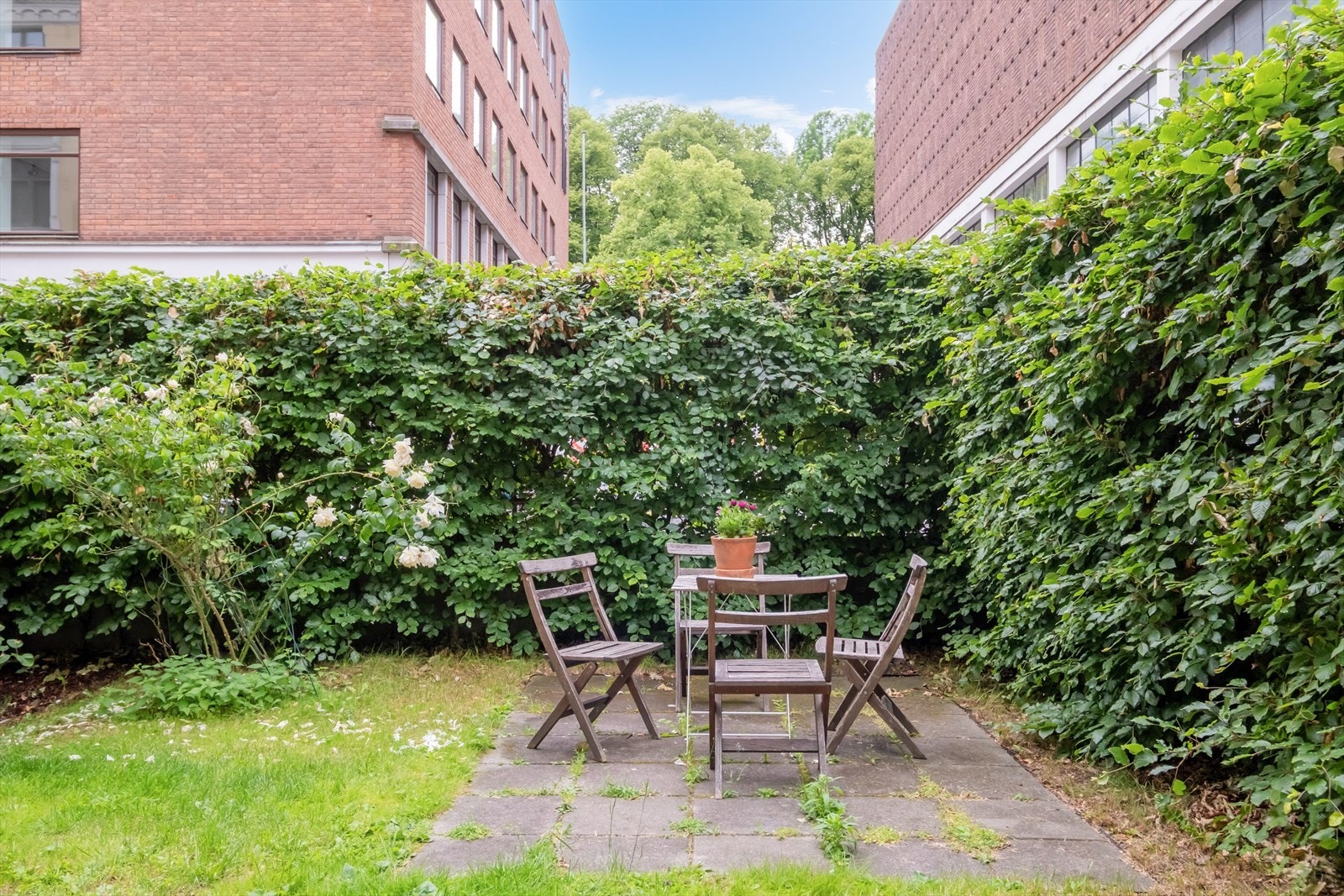 Frodig hage i på andre siden av bygget. Galleribilde