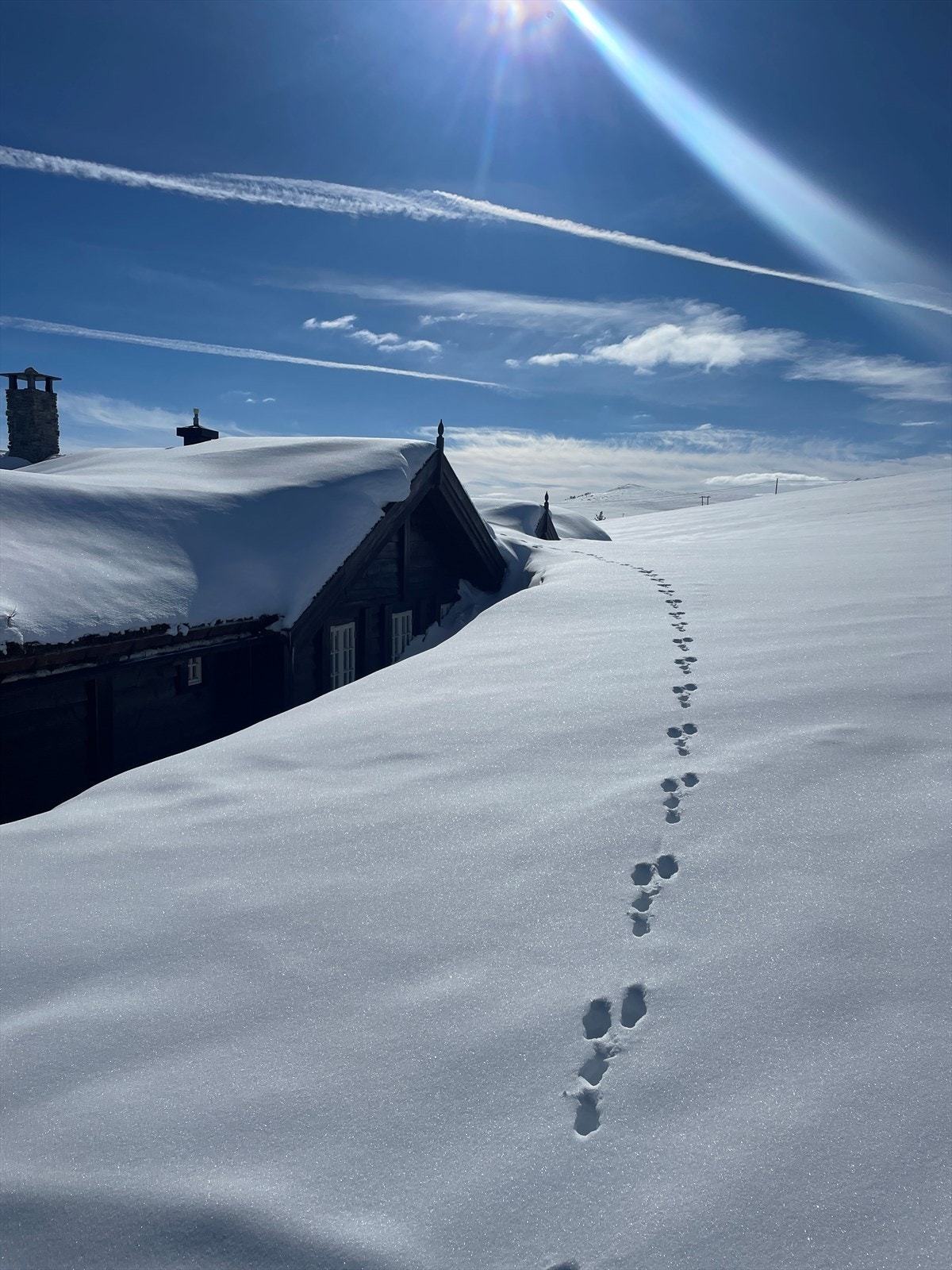 Selgers foto Galleribilde