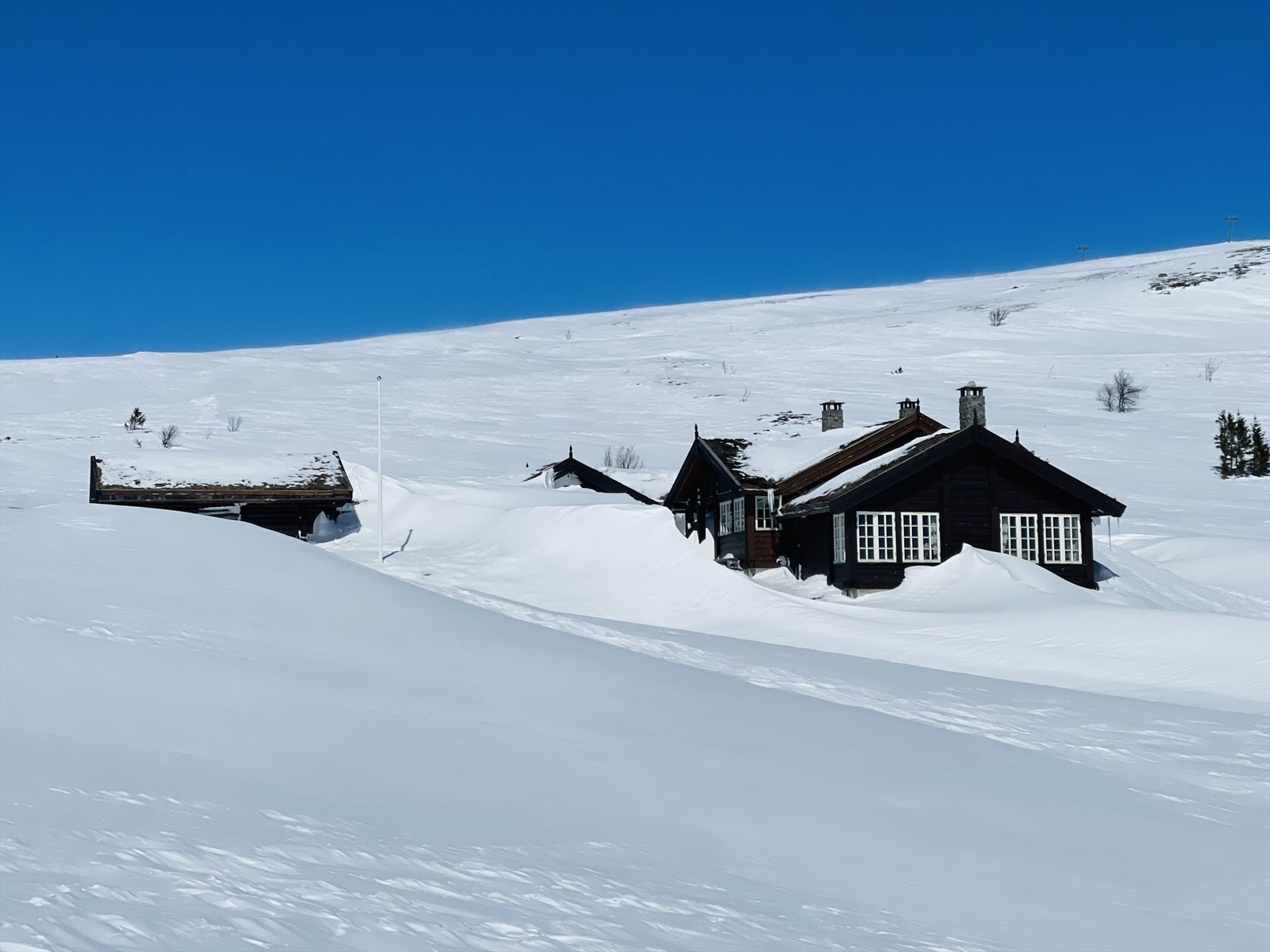 Selgers foto Galleribilde