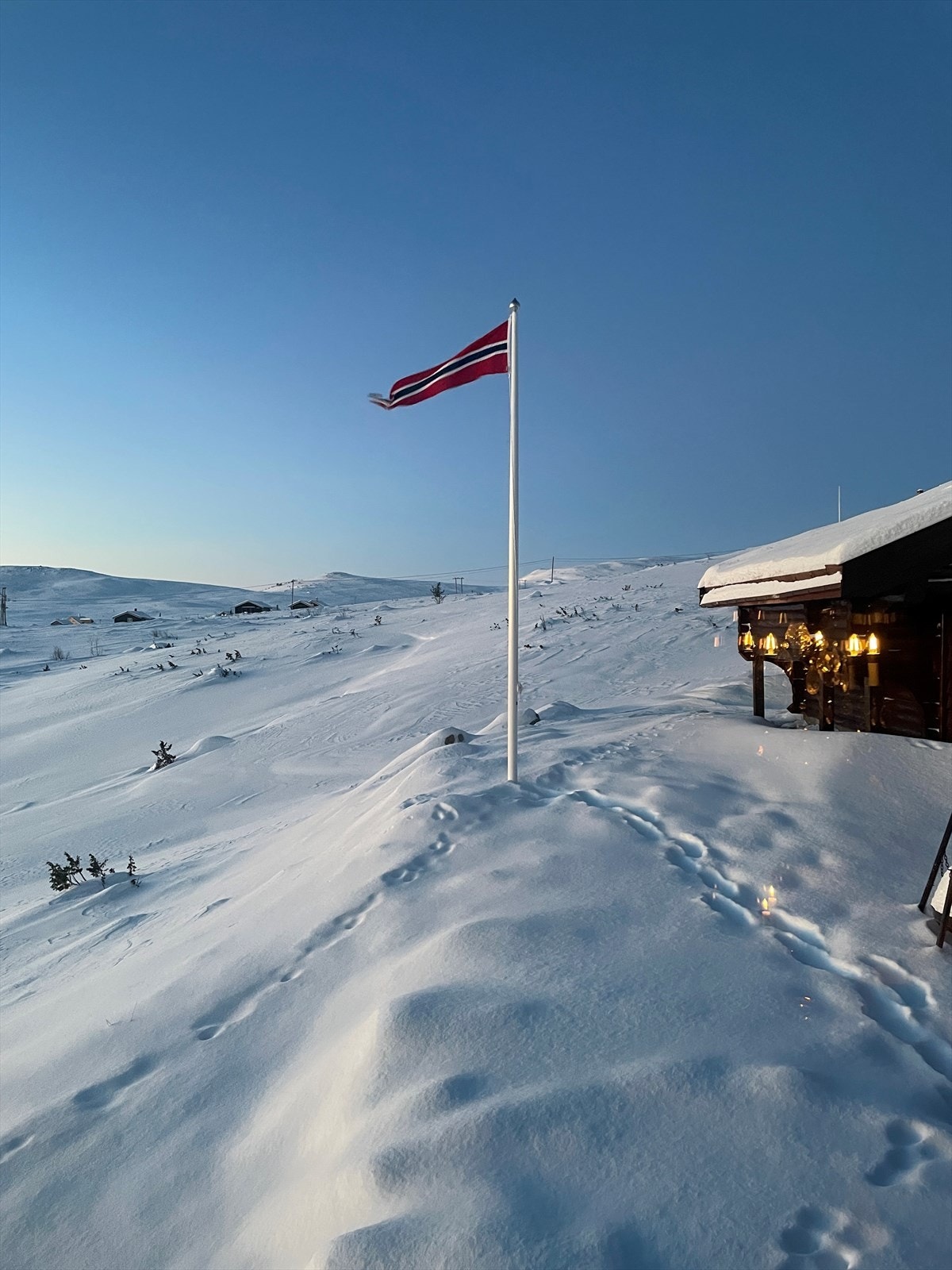 Selger foto Galleribilde