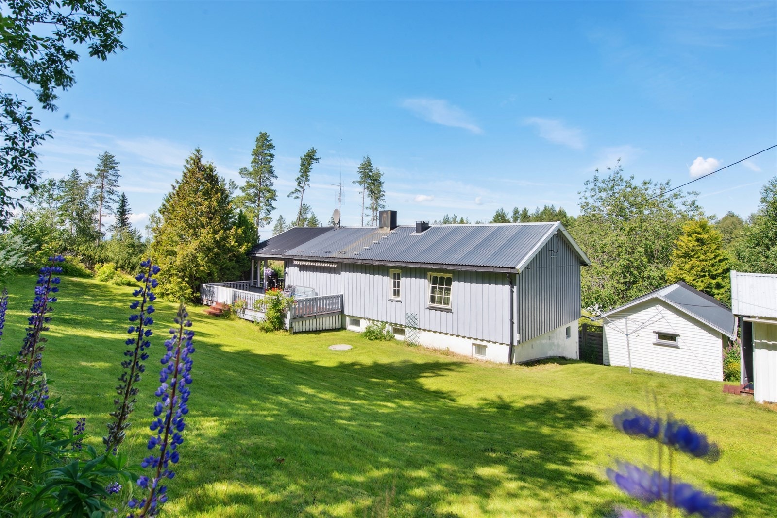Stor hage på baksiden av huset. Galleribilde
