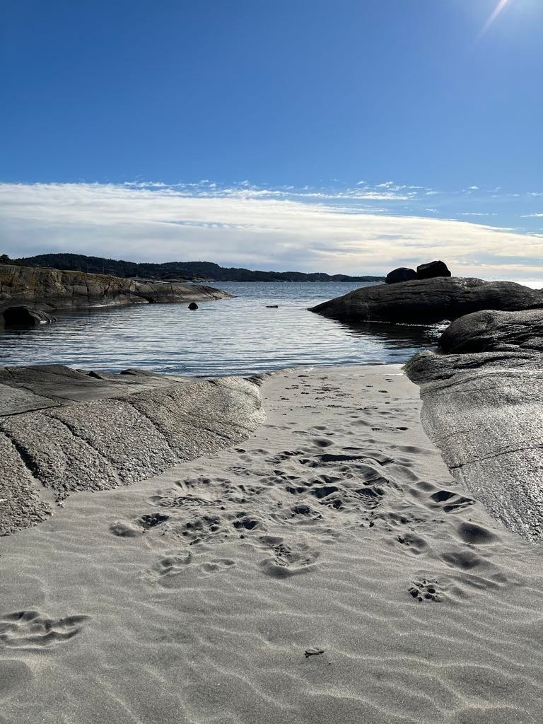 Asnes badestrand er en perle Galleribilde