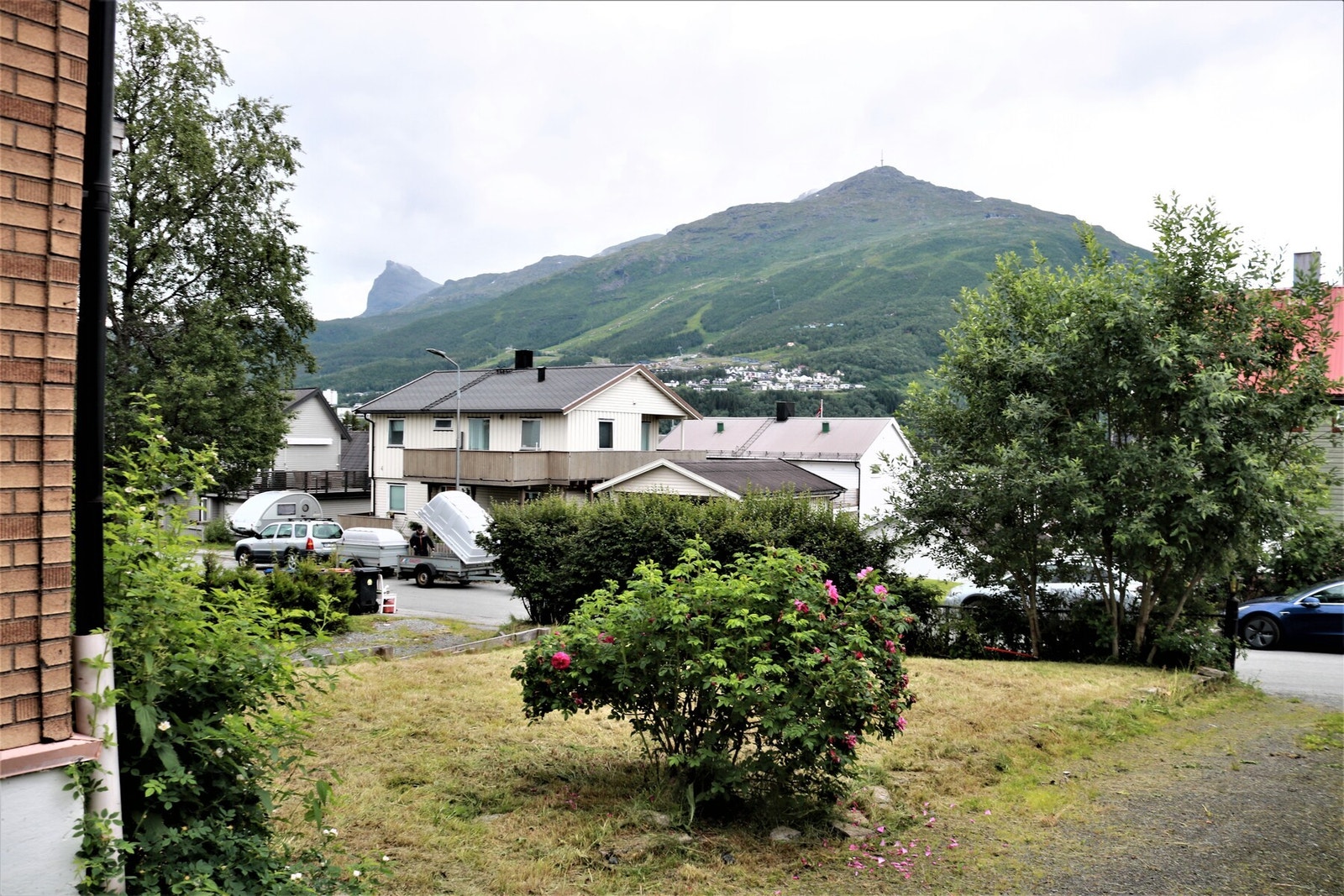 Hage Galleribilde