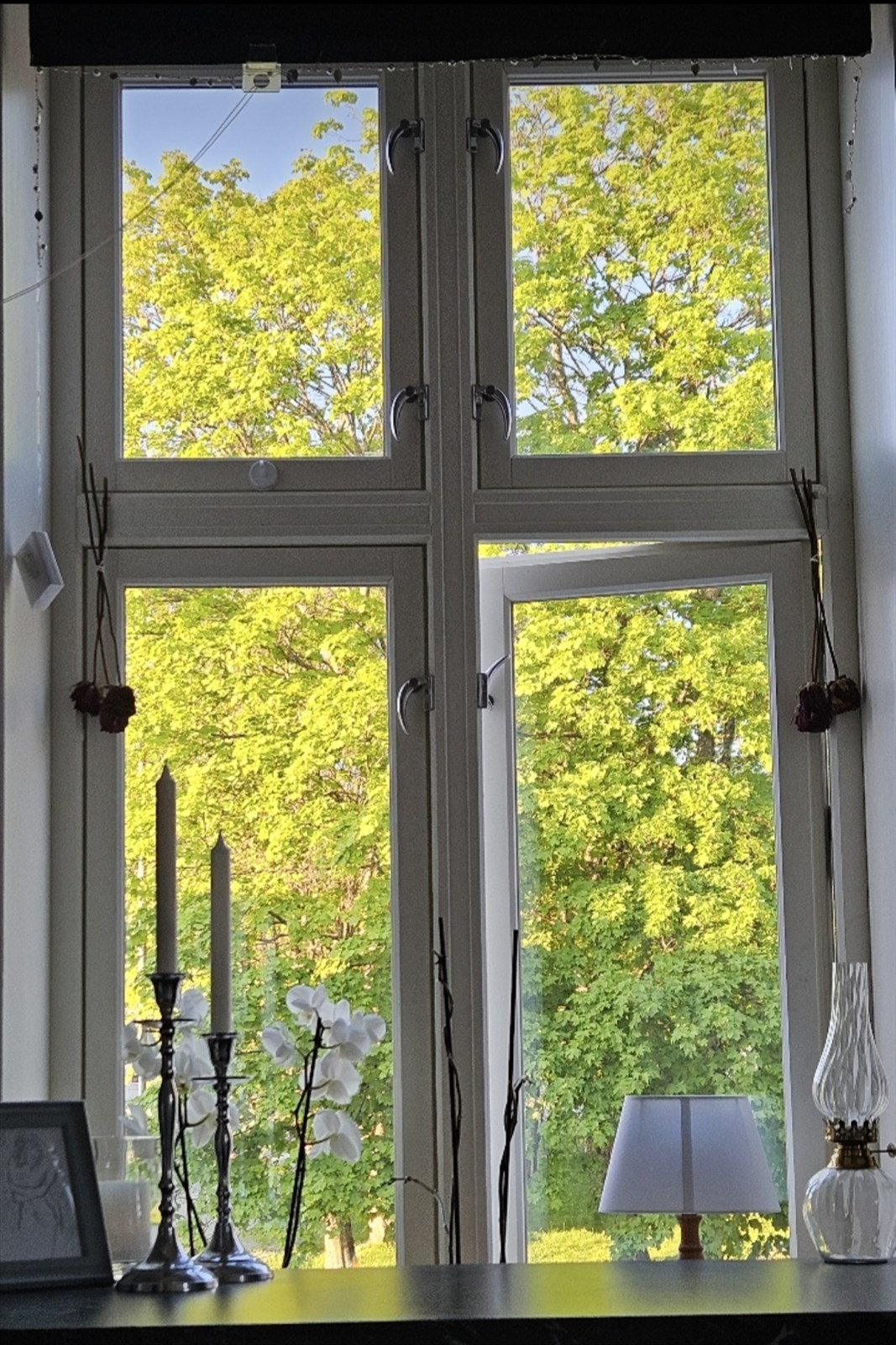 Stemningsbilde Galleribilde
