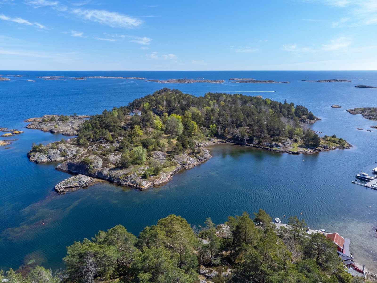 Skjeggestøholmen, eller Store Havneholmen ligger en svømmetur unna bryggen. Galleribilde