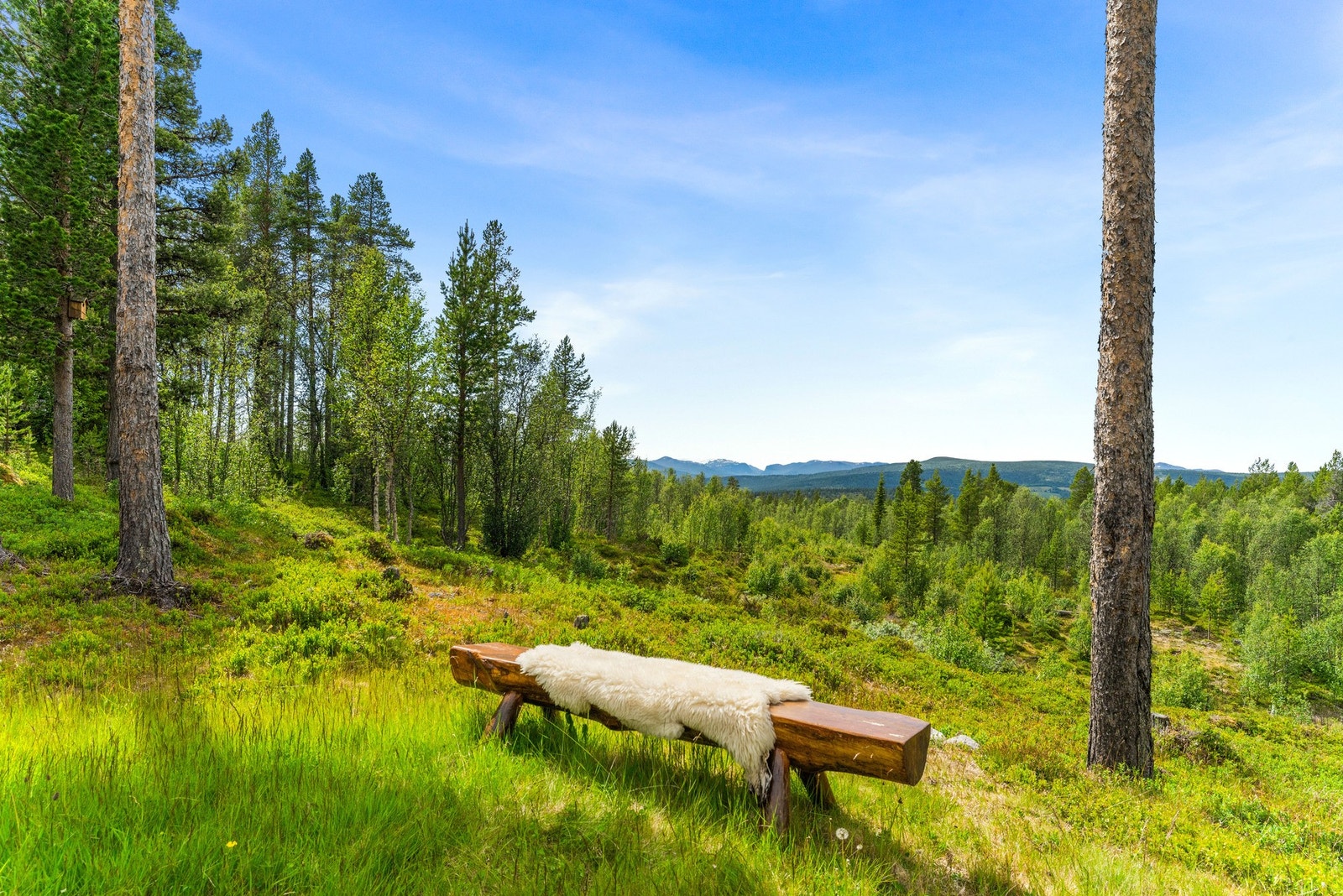 Herlig utsikt mot Sikkilsdalen. Galleribilde