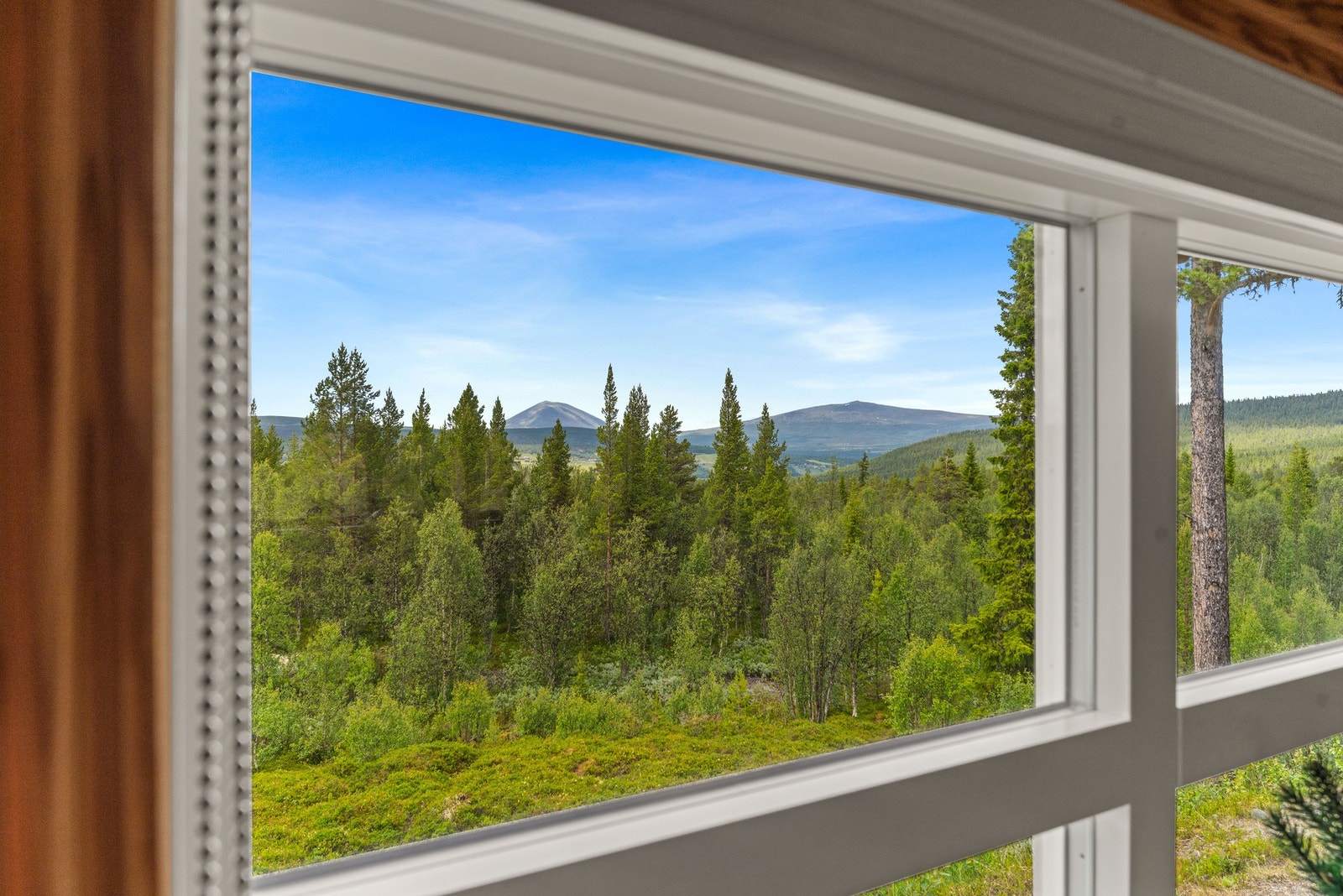 Utsikt mot Heidalsmuen og Saukampen fra spisestuen. Galleribilde