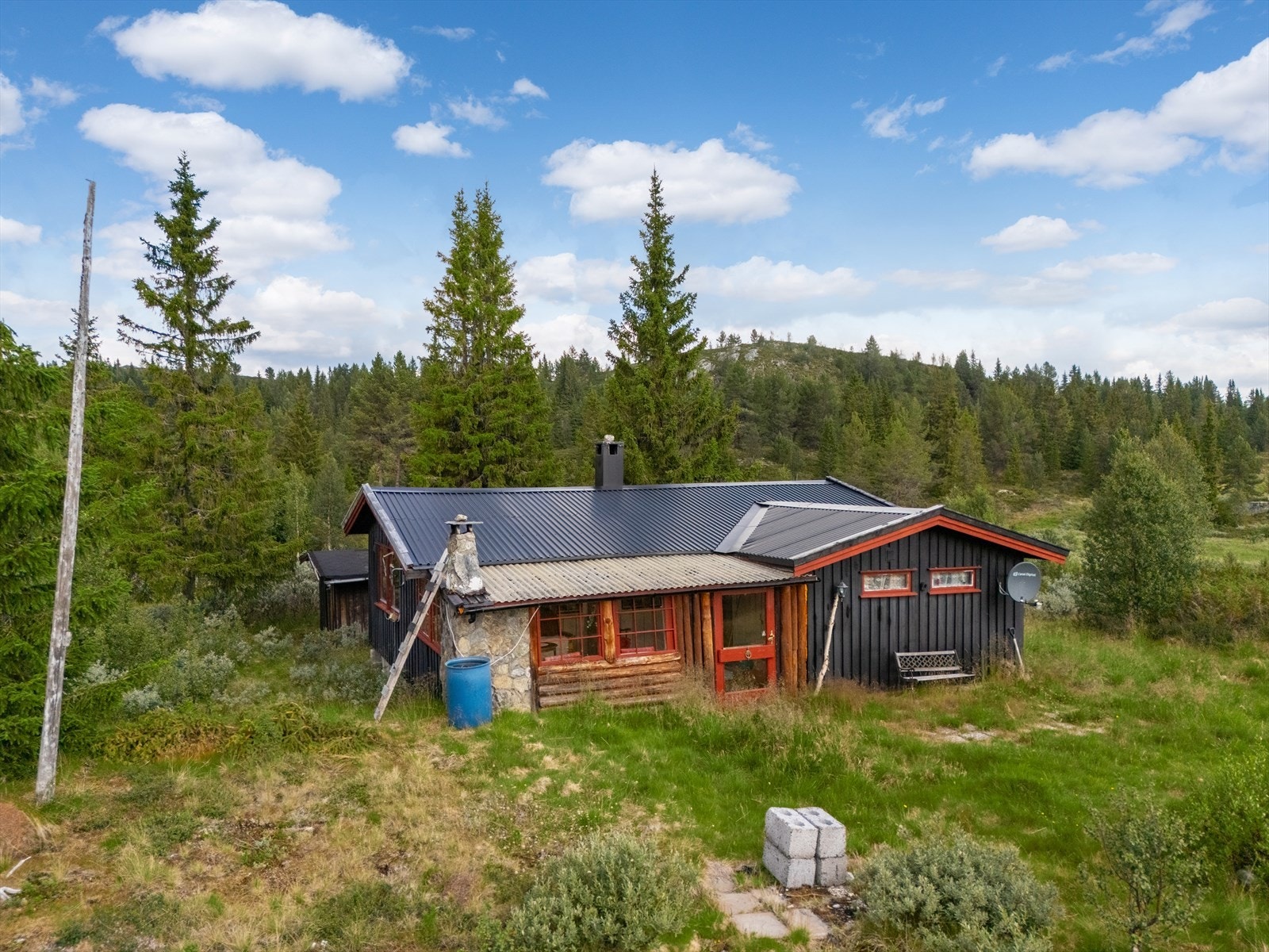 Tomt som naturtomt. Galleribilde