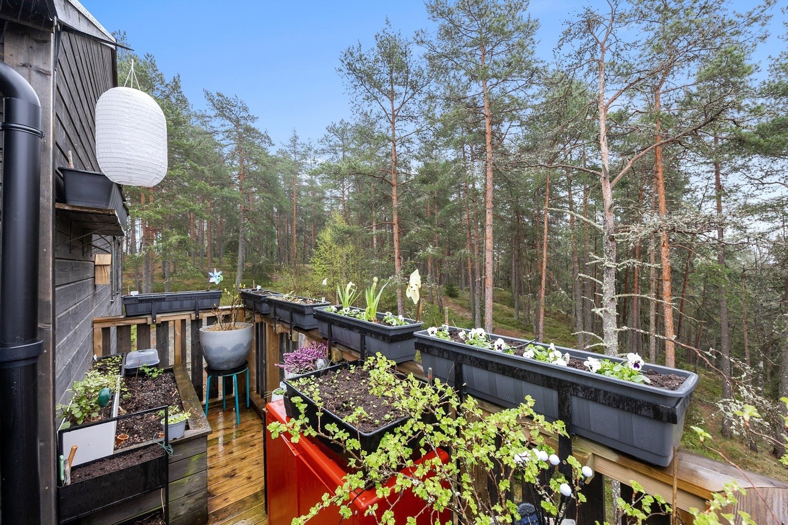 Her kan du dyrke flotte vekster og samtidig nyte de grønne omgivelsene. Galleribilde