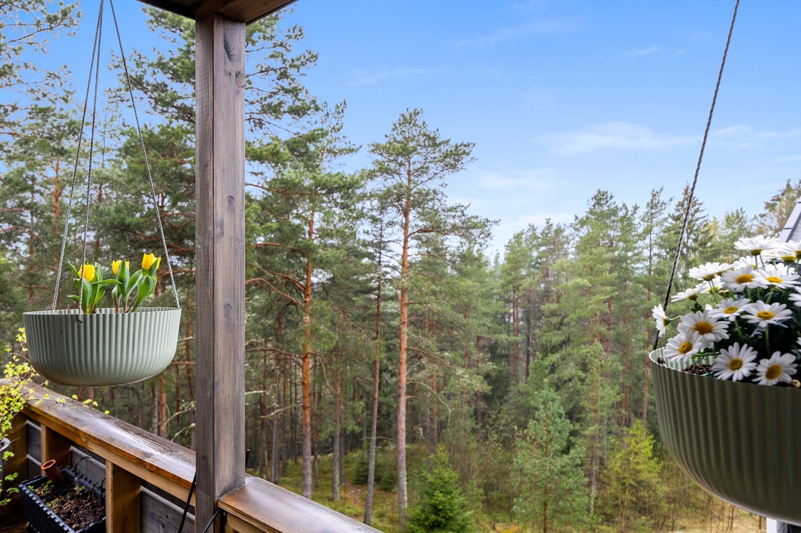 Fantastisk utsikt over naturskjønne områder. Galleribilde