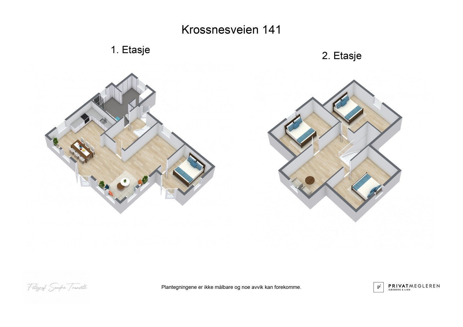 Plantegninger. Galleribilde