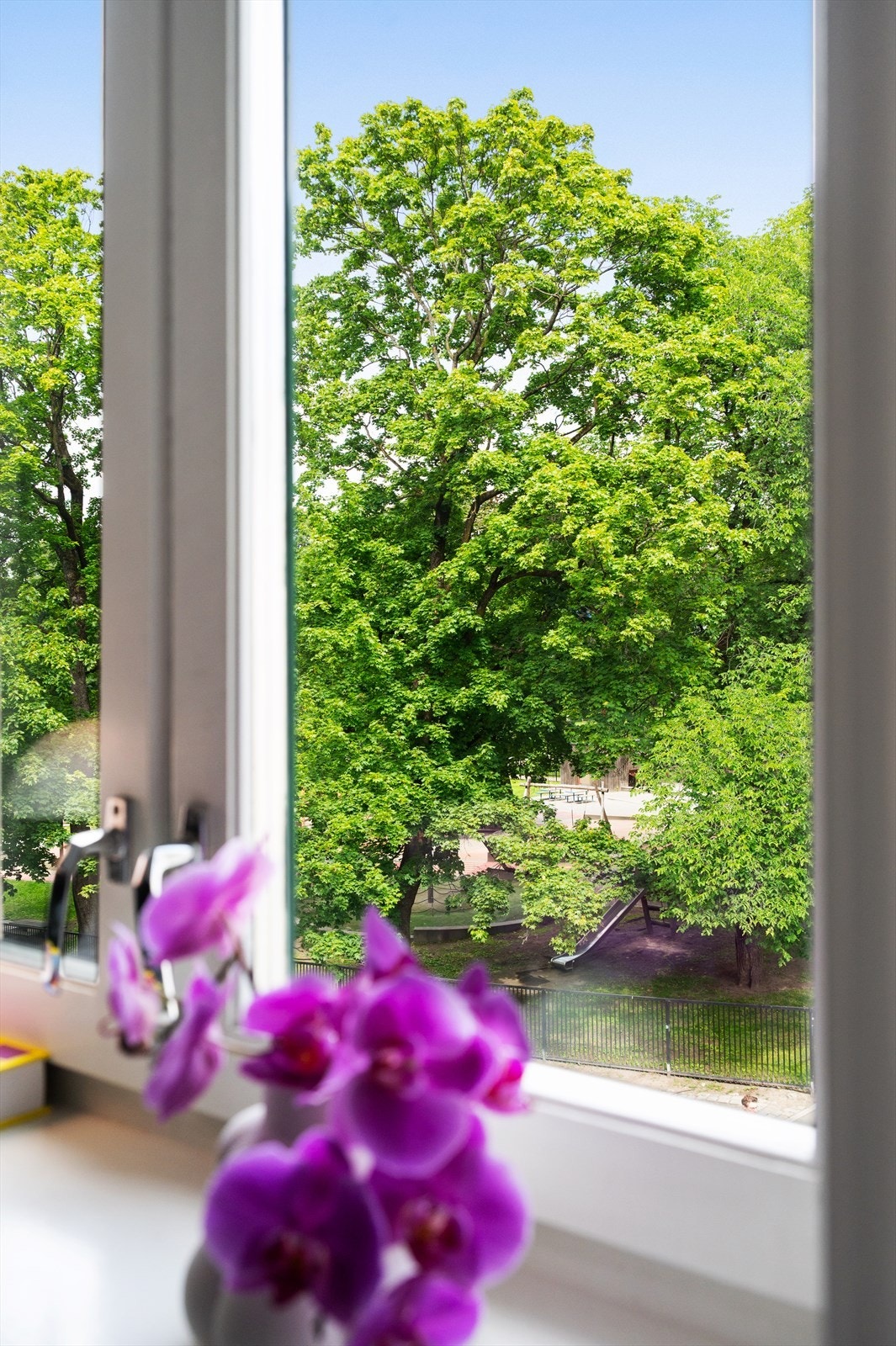 Utsikt. Galleribilde