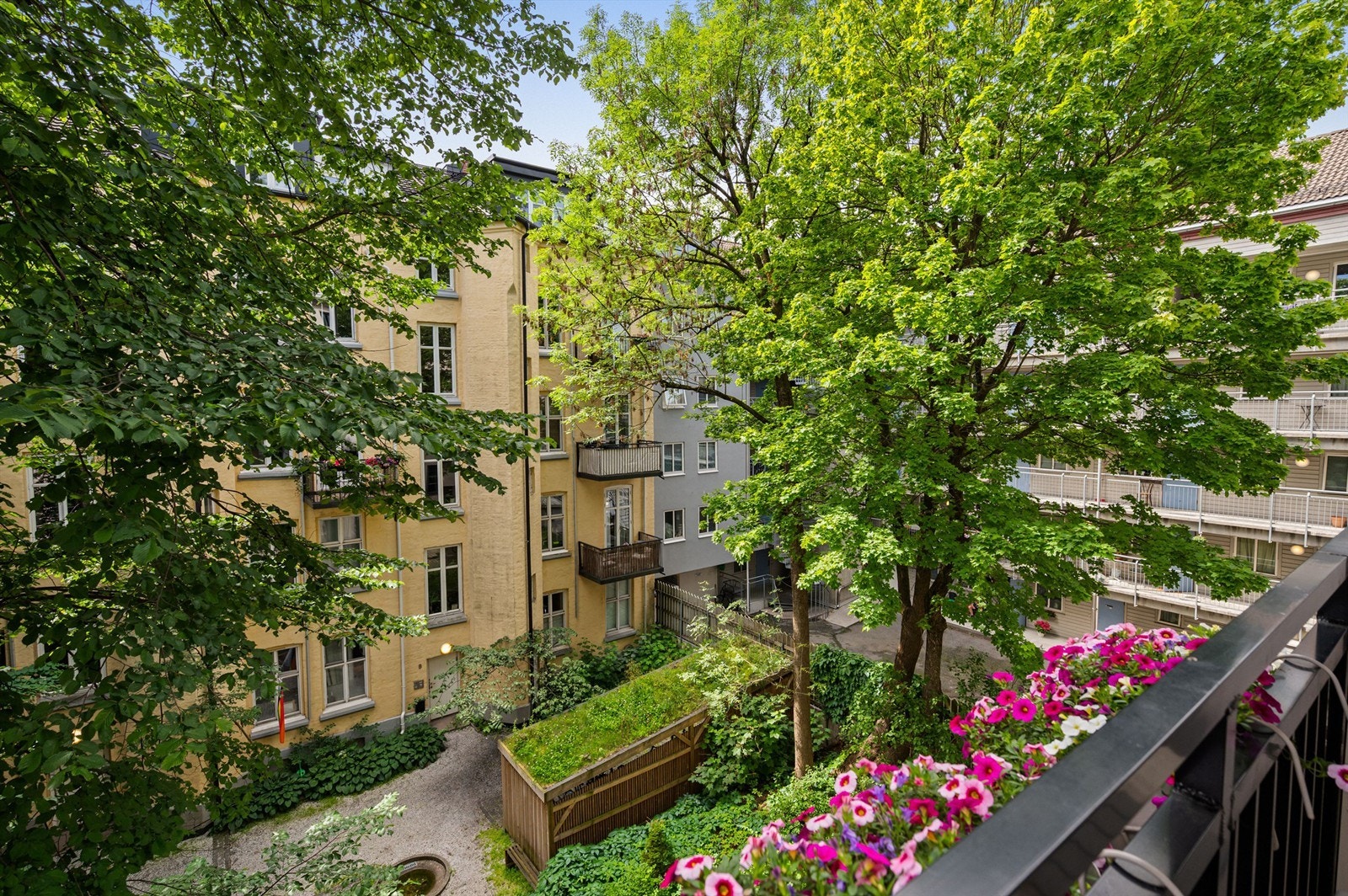 Utsikt fra balkong. Galleribilde