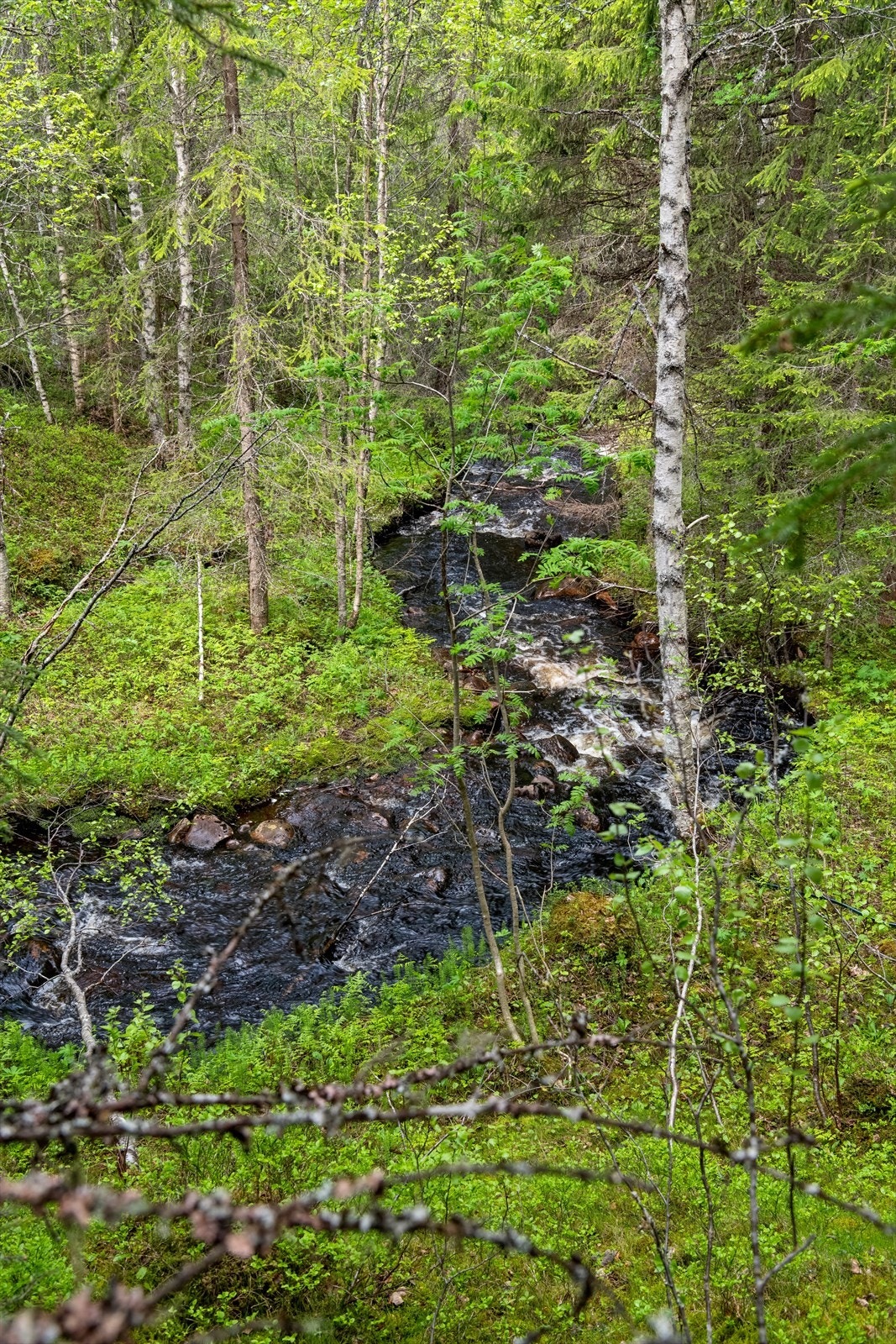 Eiendommen har nærhet til bekk, som gir en naturnær og avslappende atmosfære. Galleribilde