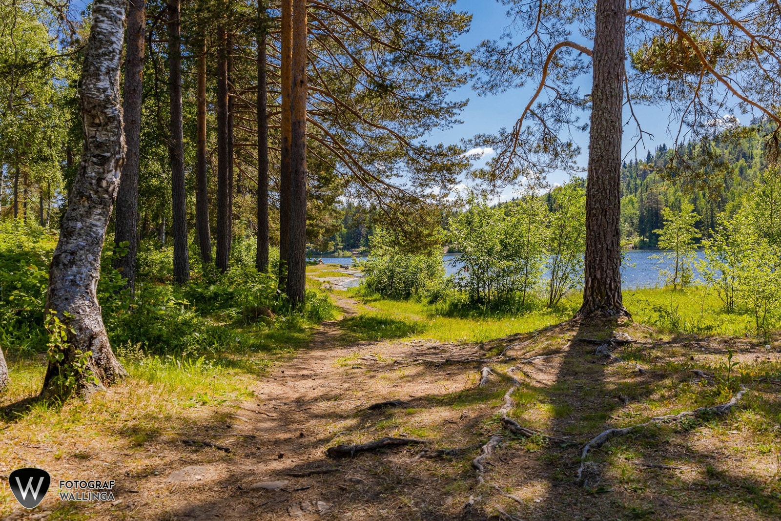 Konnerud byr på et flott turterreng. Galleribilde