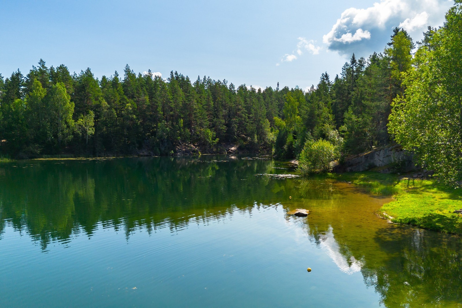 Bak trærne fra eiendommen skimtes Vannverksdammen. Galleribilde