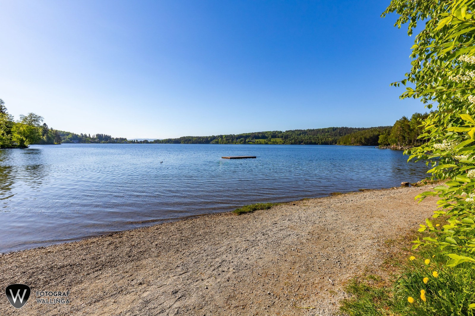 Konnerud har også Stordammen som er et populært badested. Galleribilde