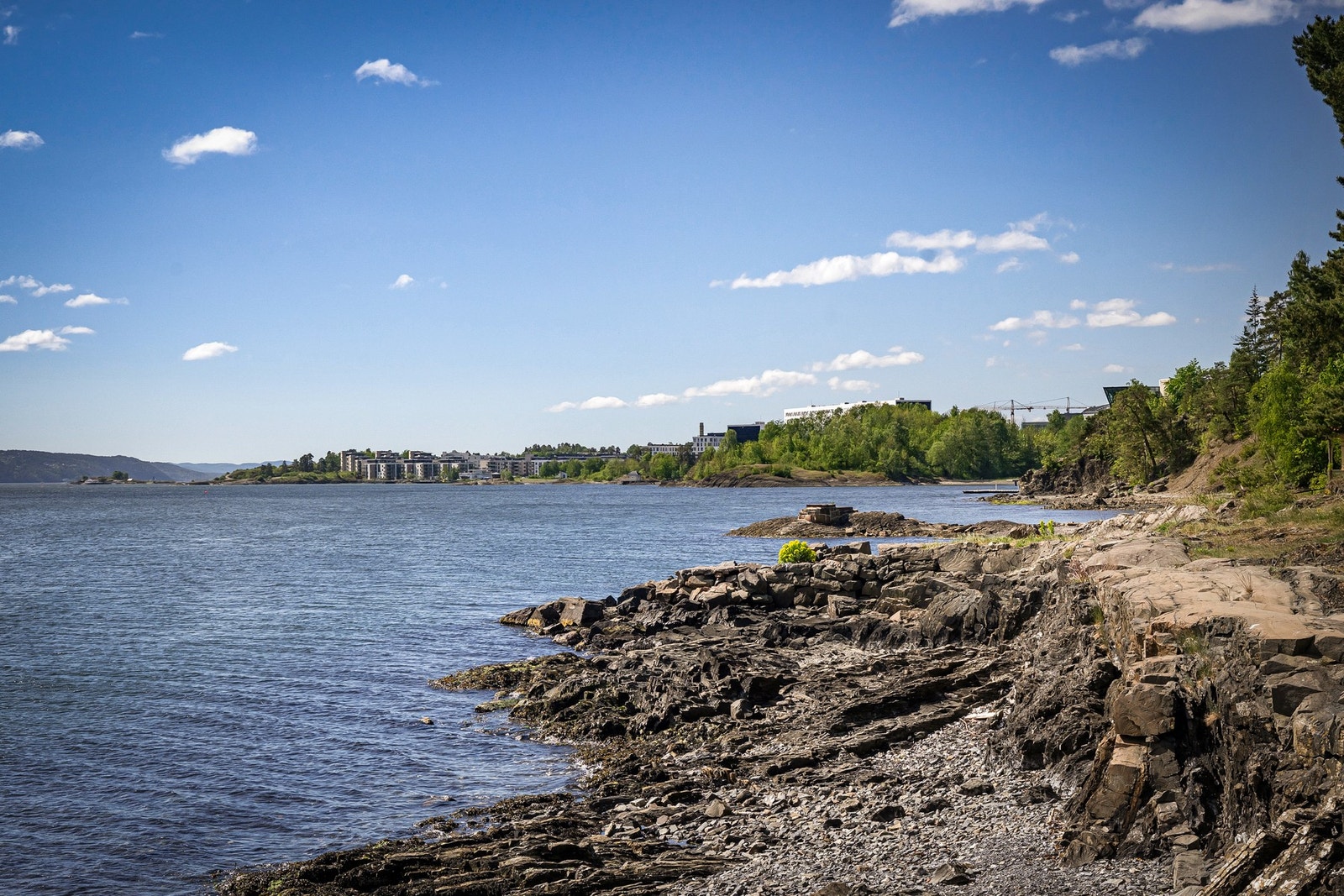 Båthavnen har 39 båtplasser for båter med størrelse fra 14 til 33 fot. Plassene er leid ut til faste leietagere. Galleribilde