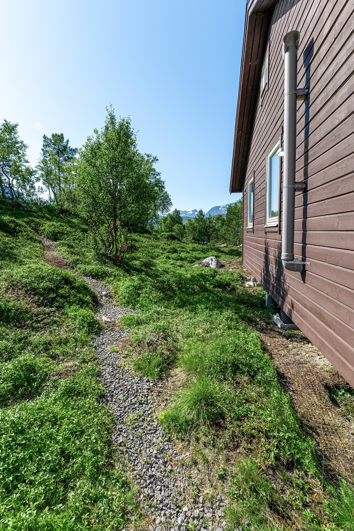 Fra parkering er det gangsti som tar deg frem til hytta Galleribilde