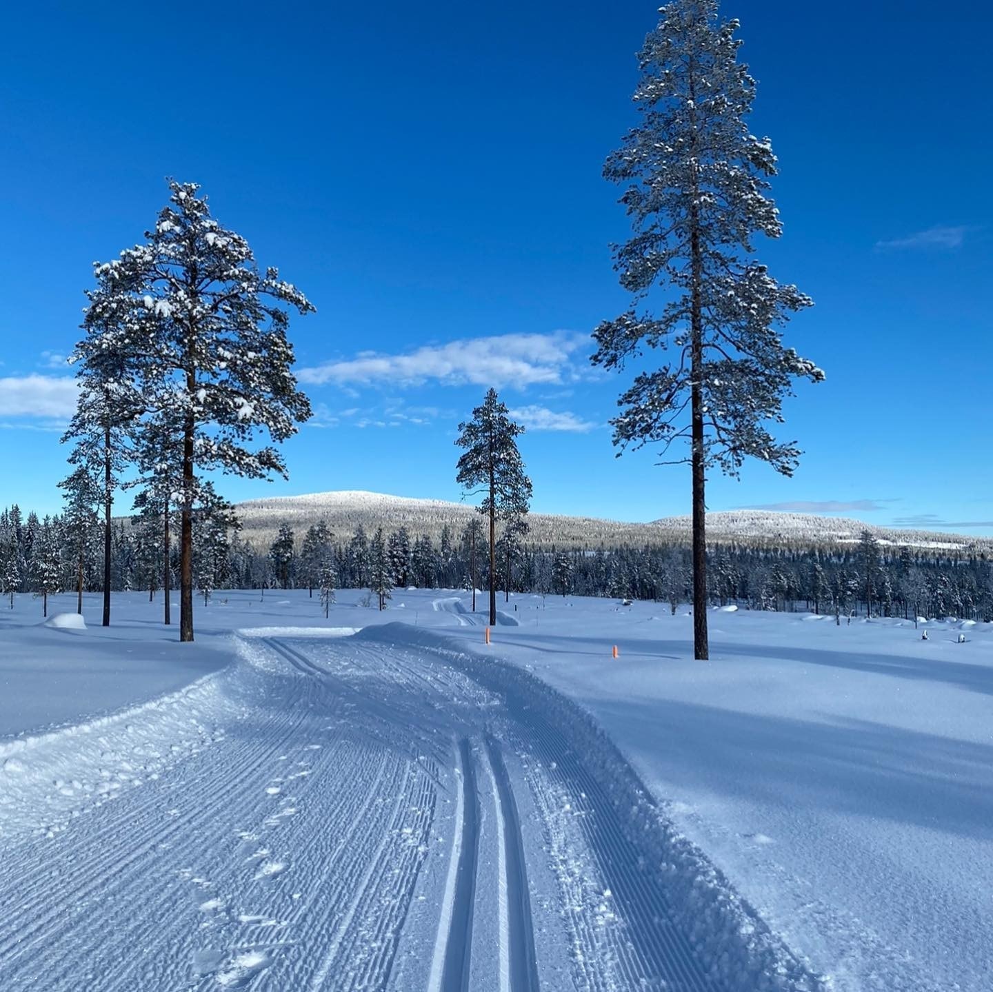 Flott skispor går igjennom hele hyttefeltet Galleribilde