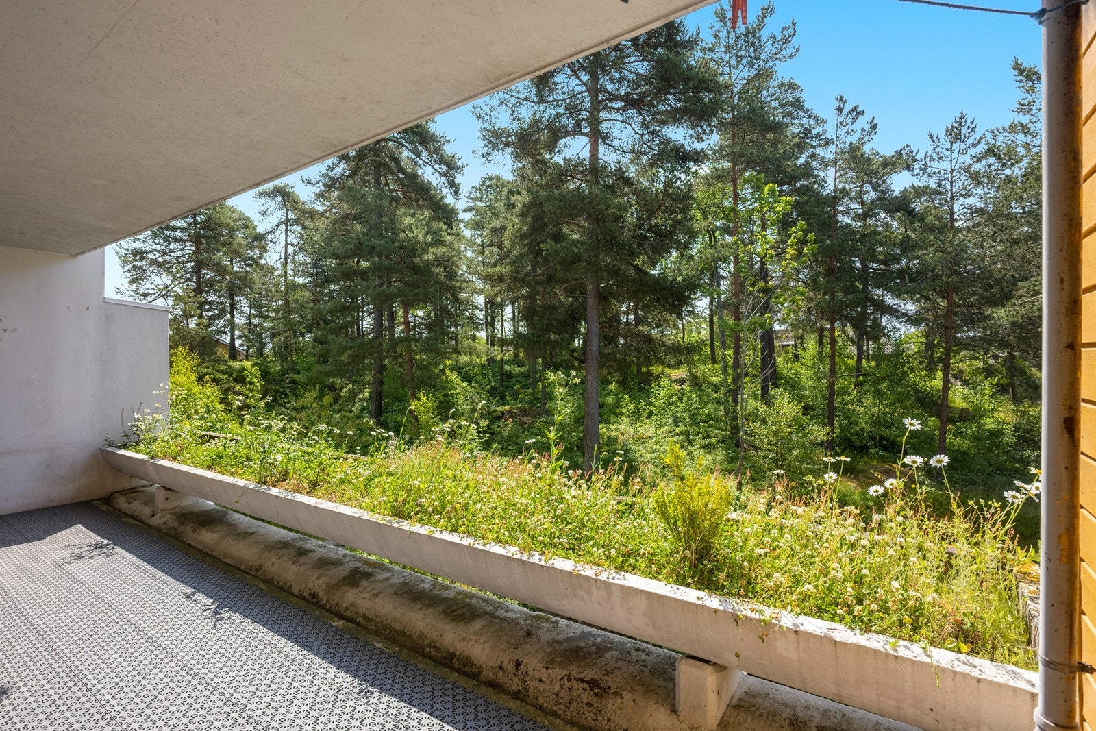 Balkongen har utsyn mot naturen i nærområdet. Galleribilde