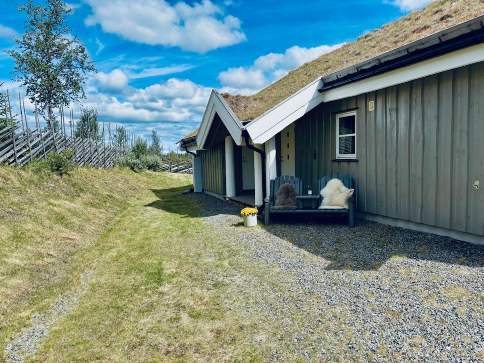 Bilde tatt av selger. Galleribilde