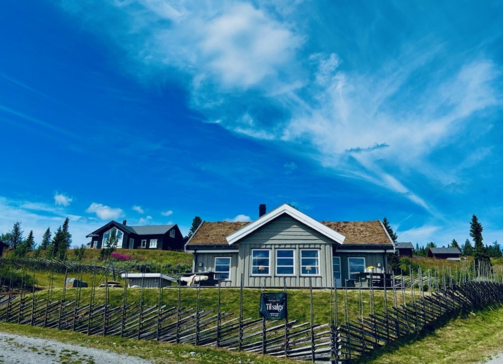 Bilde tatt av selger. Galleribilde