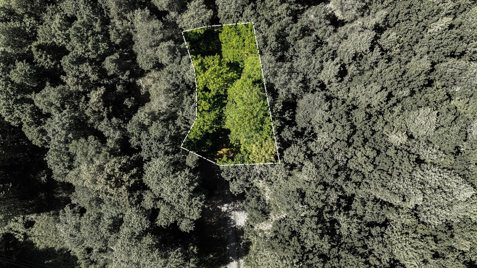 Tomten er av fin størrelse og er på 839m² Galleribilde