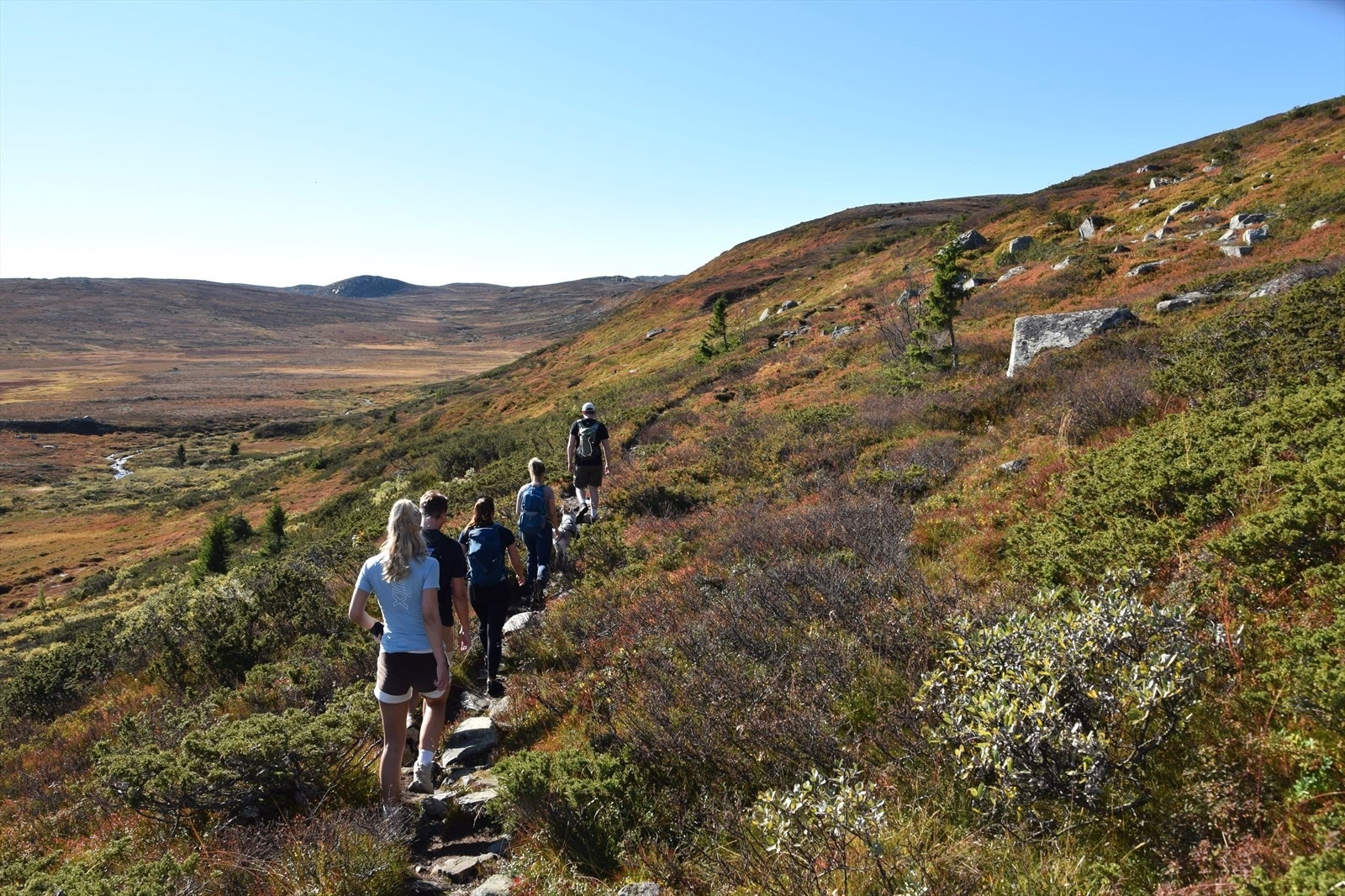 Godt merkede turstier i område - bildet fra en av stiene opp til Hallingnatten (1 314 m). Galleribilde