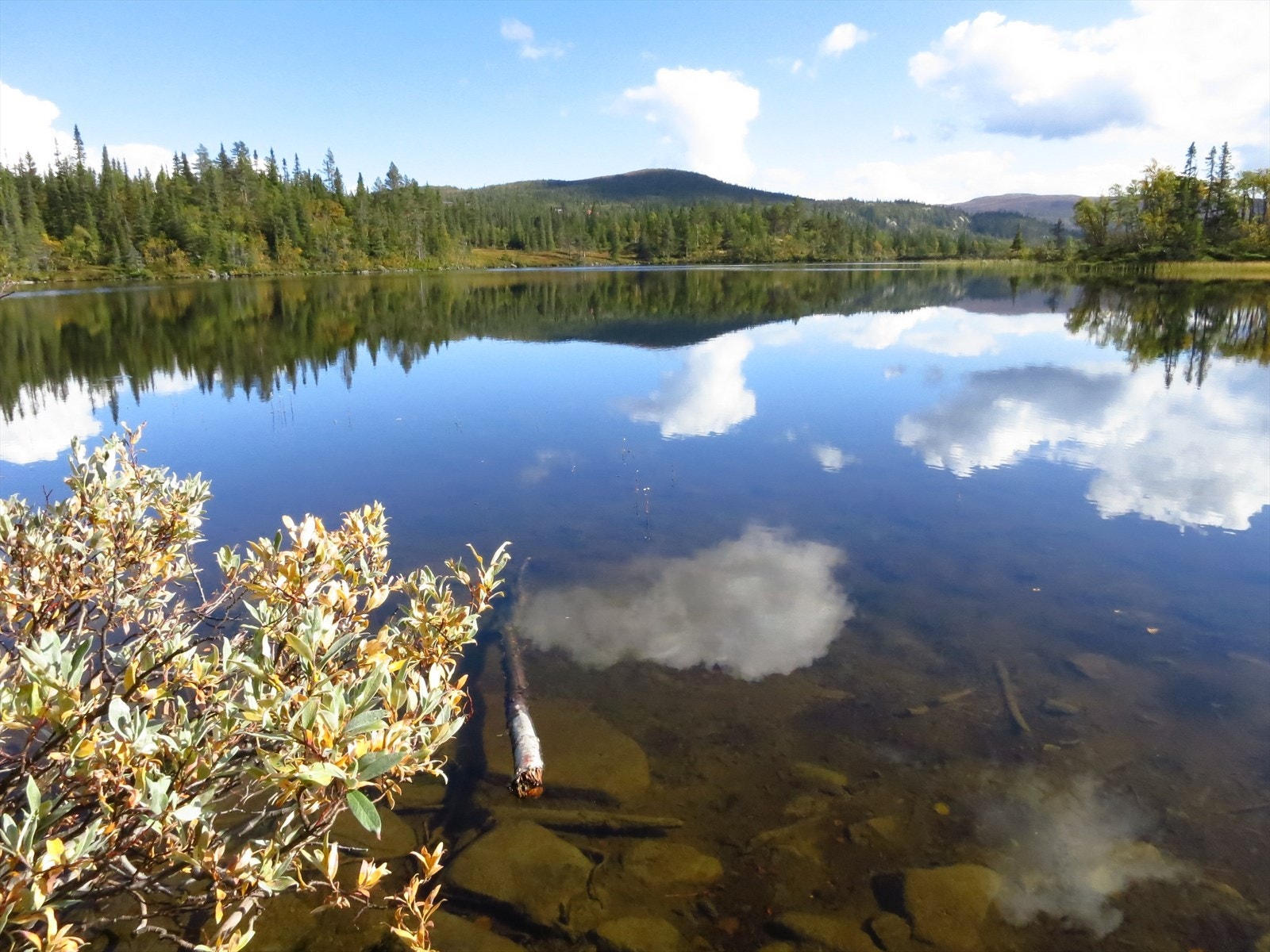 Helgesetvatnet - et flott fiskevatn Galleribilde