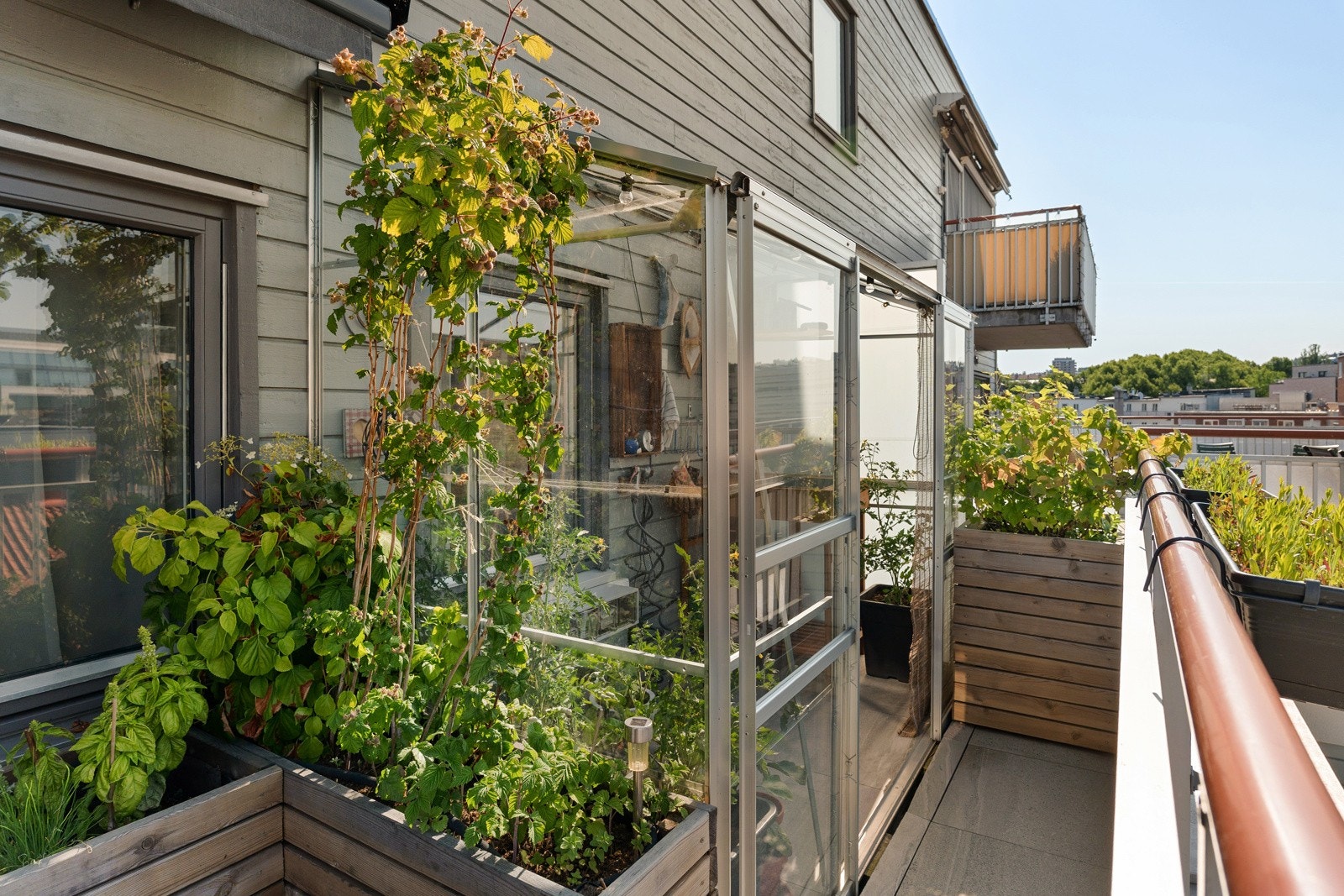 Her kan du dyrke din egen "grønnsakshage", samt mulighet for å lage mat på utekjøkken. Galleribilde