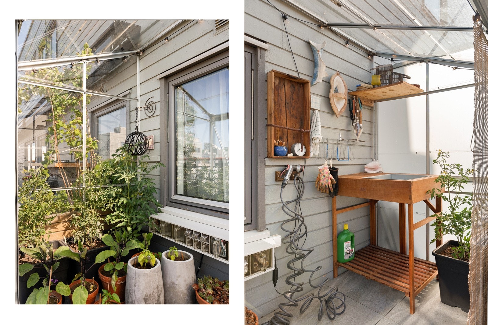 Drivhus. Galleribilde